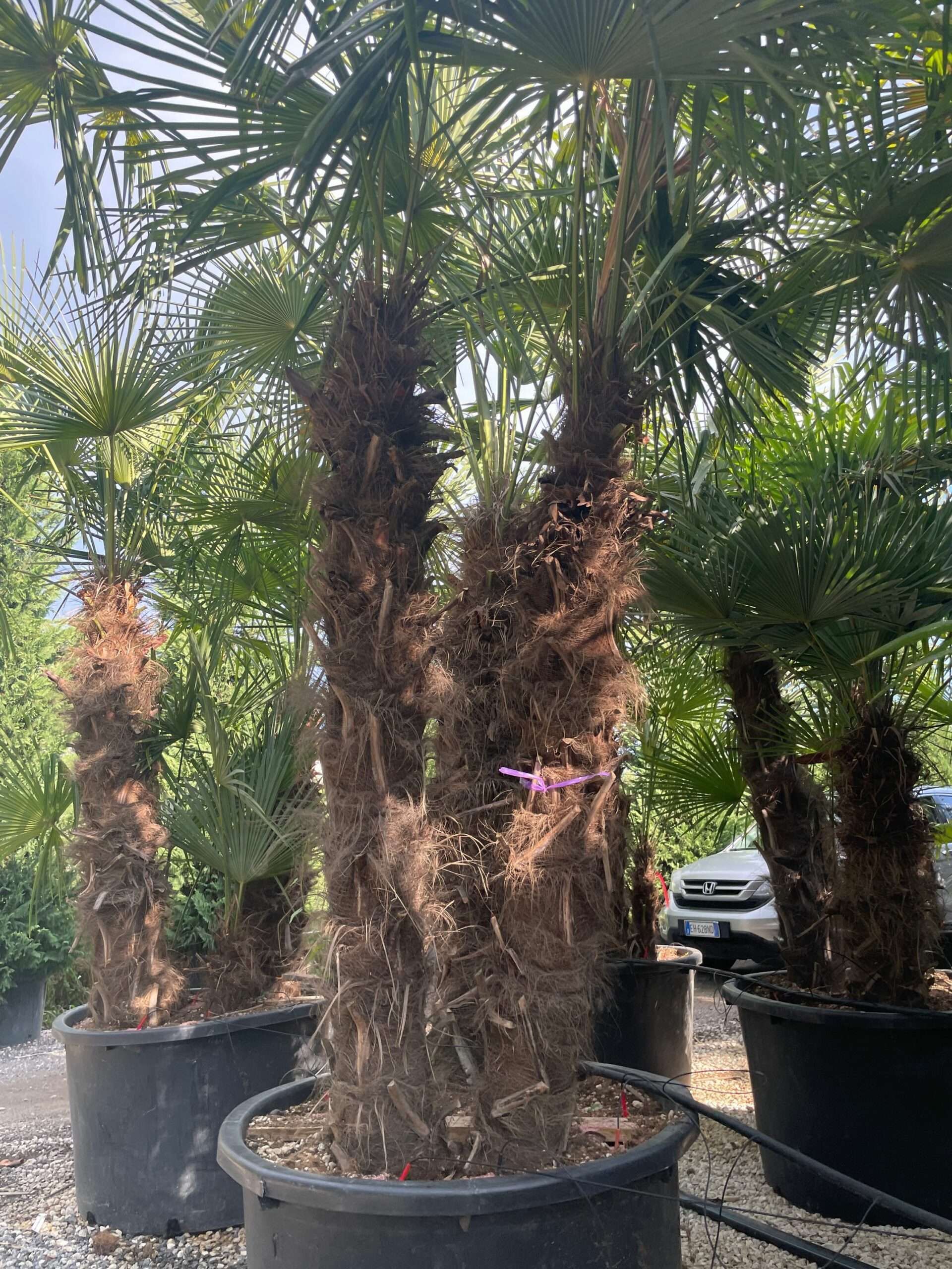 1690818777 scaled 87d64bff