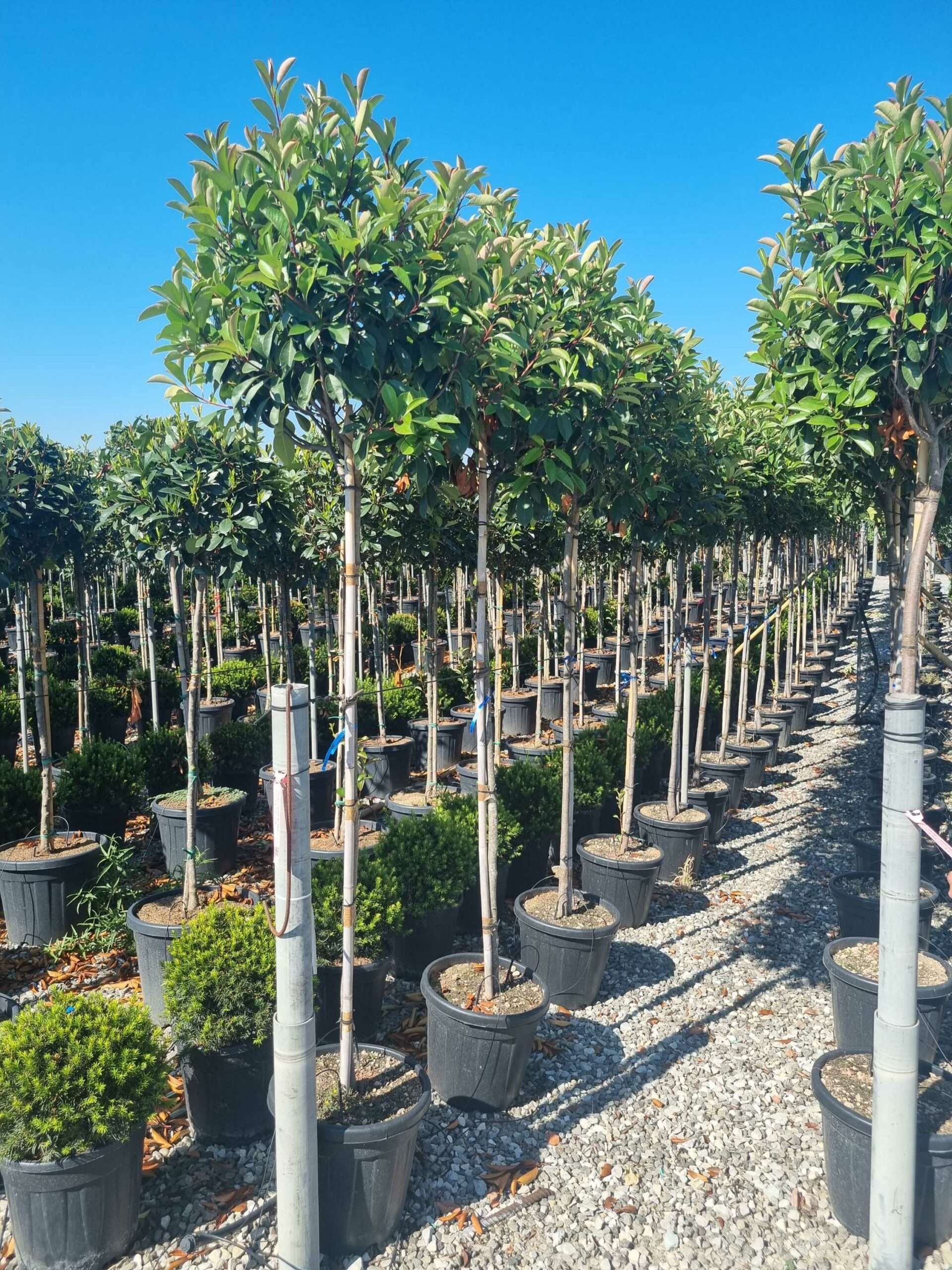 1692692935 scaled 87b08582