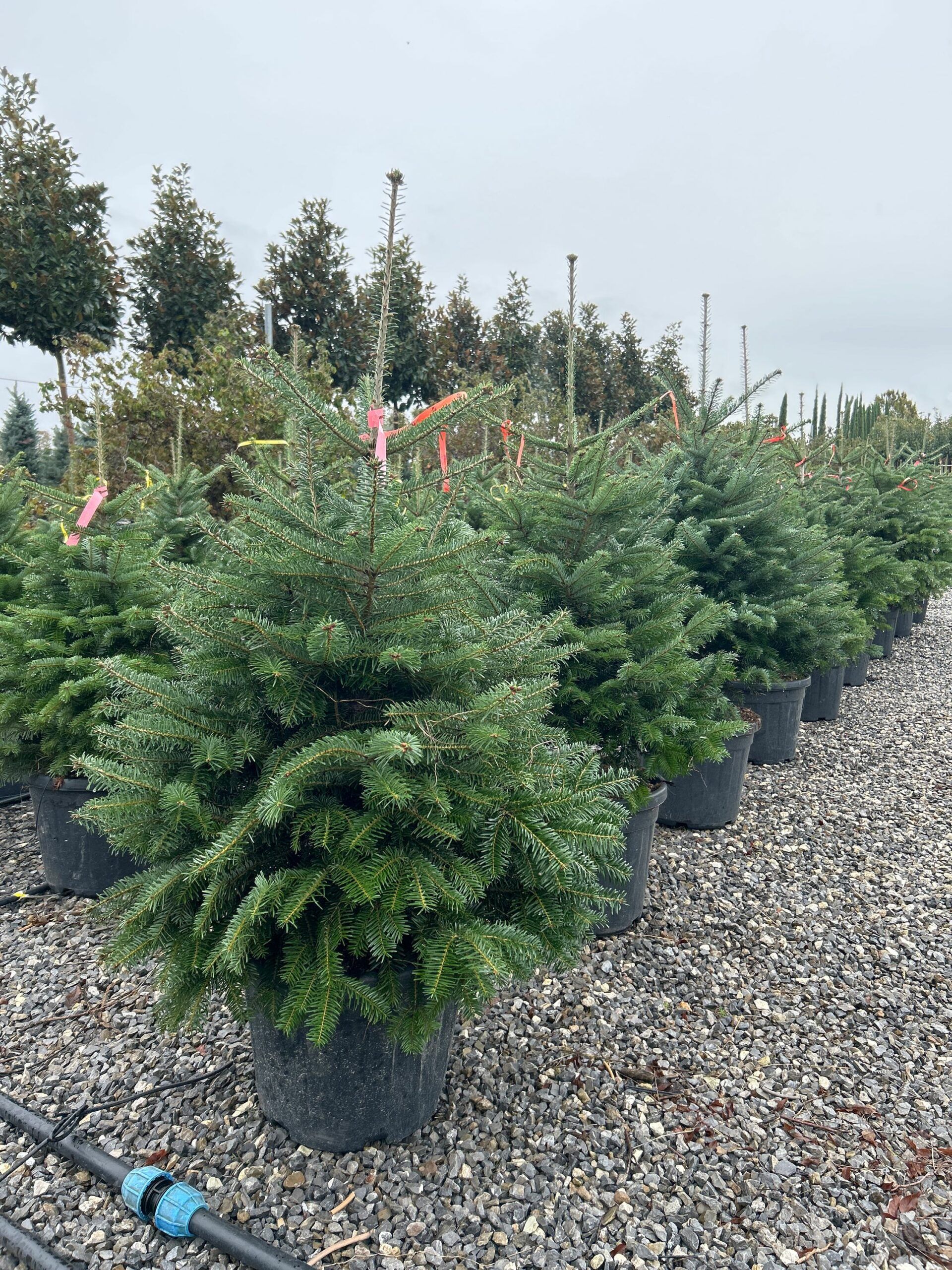 1698155966 scaled 87fced87