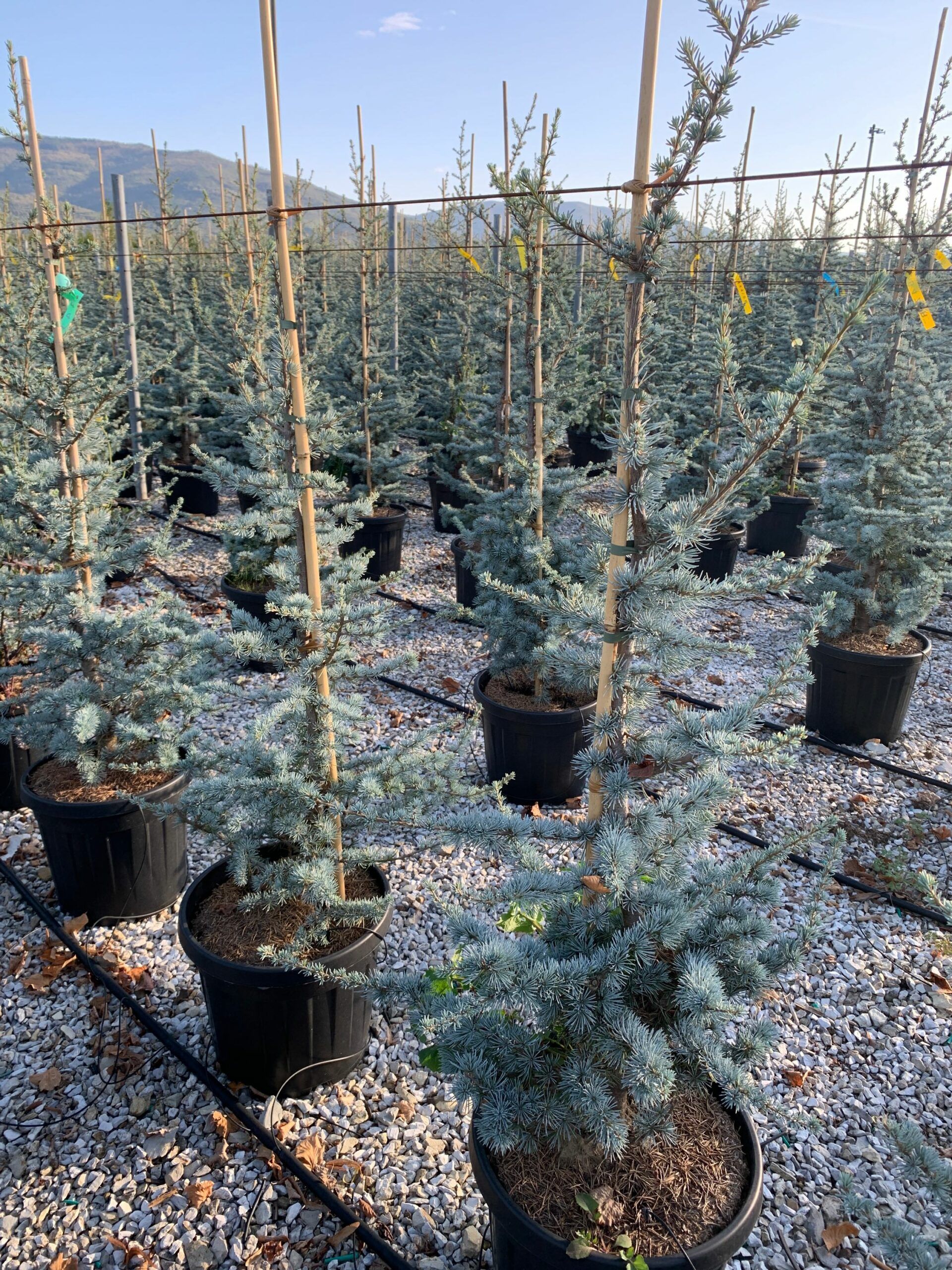 1635319390 scaled 88998f32