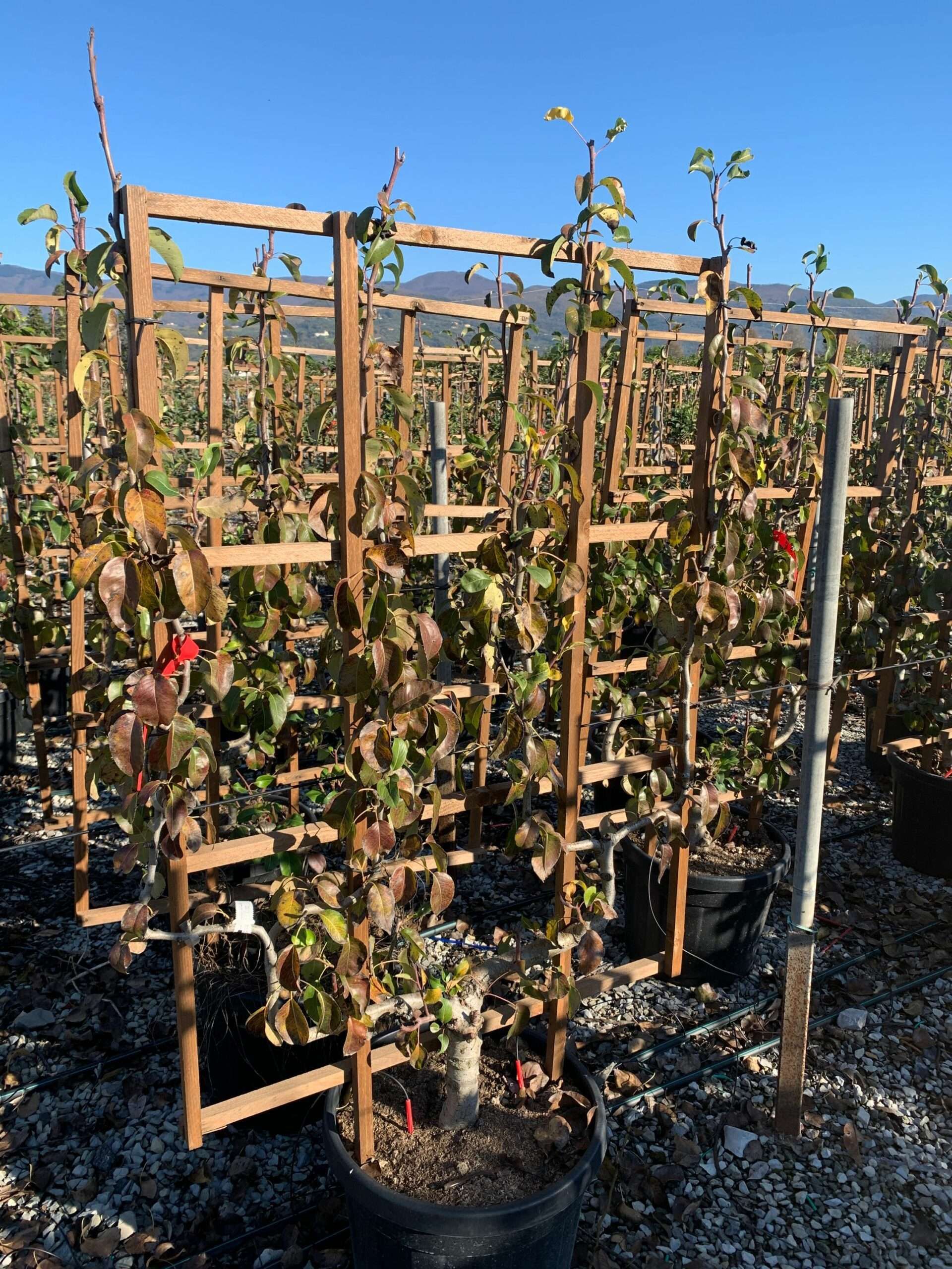 1637746226 scaled 88fc47e4