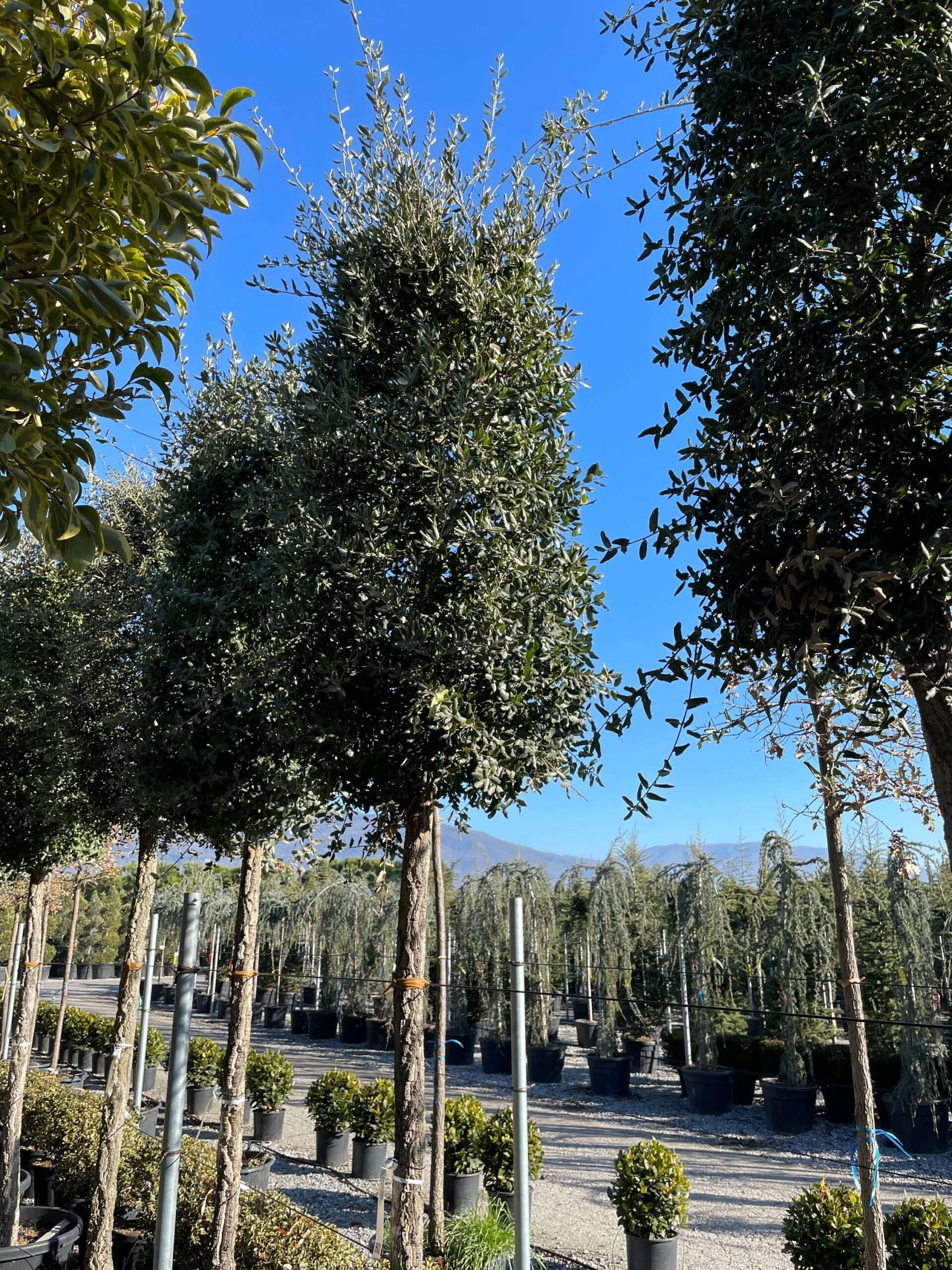 1643794338 scaled 887ba4c4