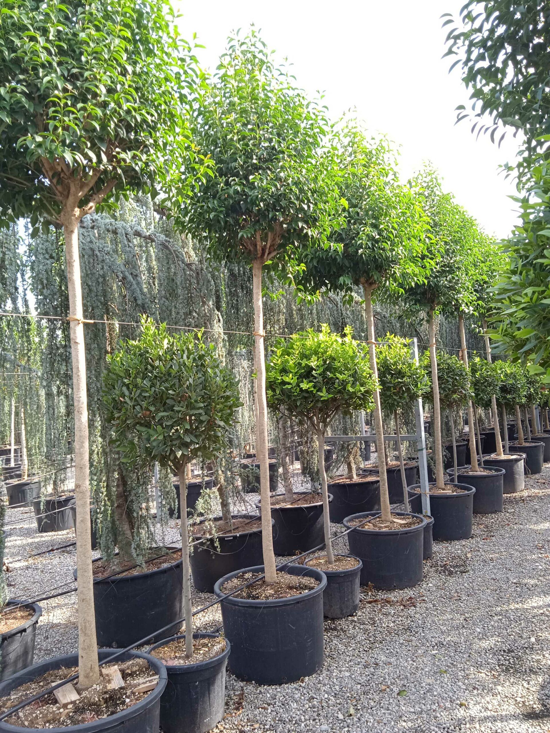 1661869594 scaled 88bf49ed