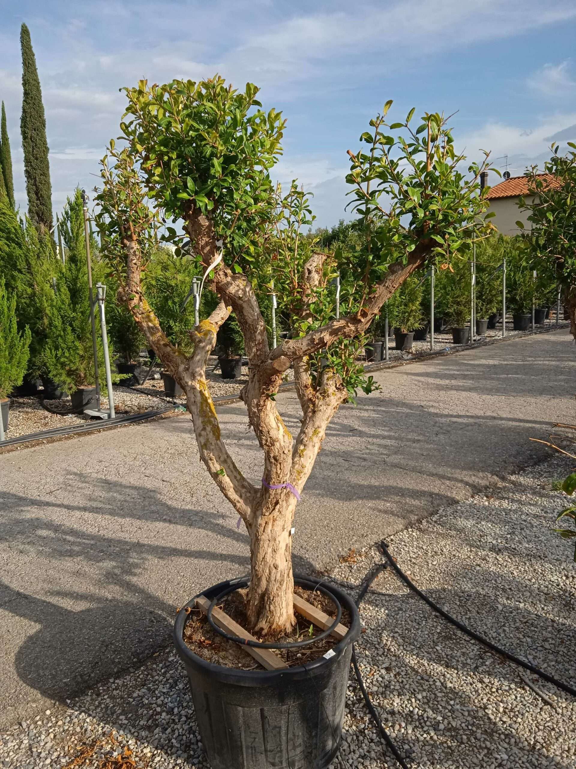 1661960492 scaled 88f33204