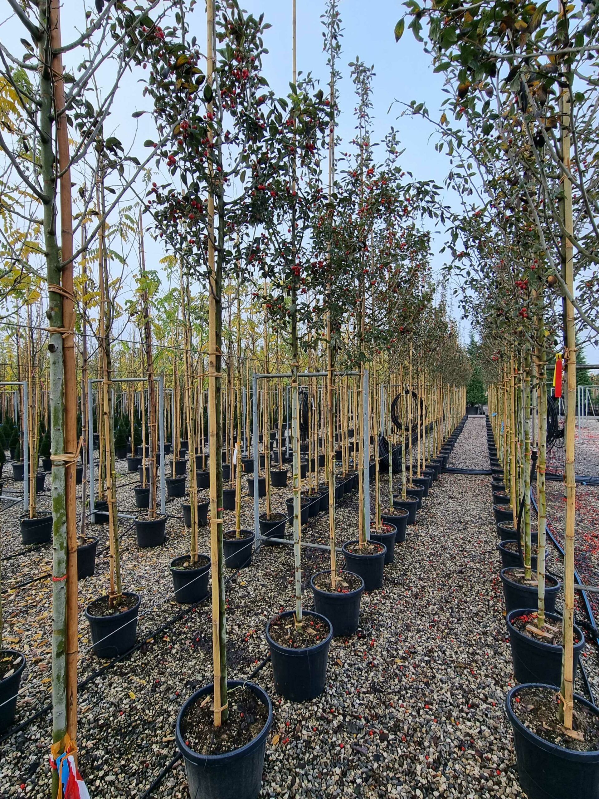 1668676274 scaled 8846ad9e