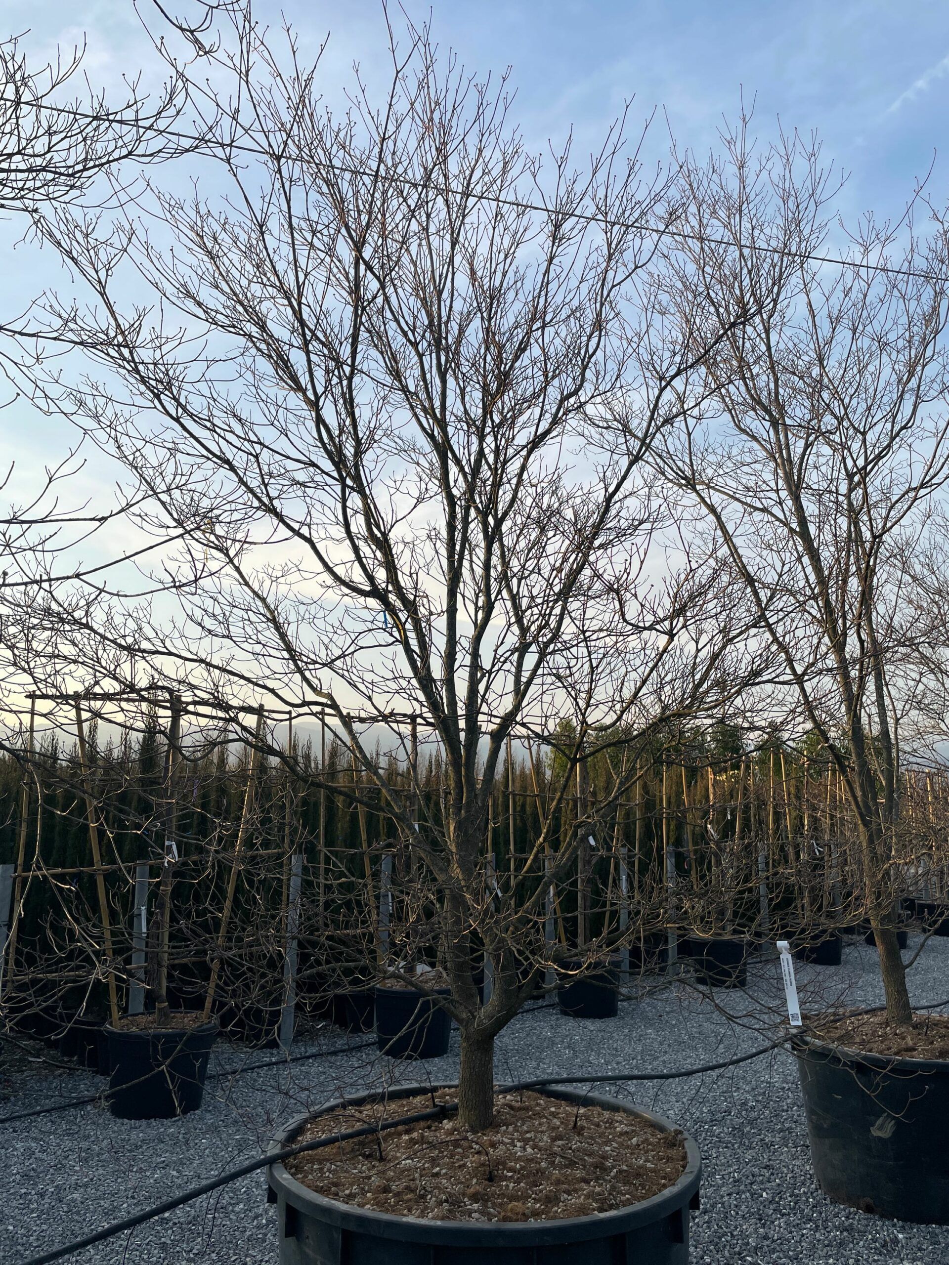 1676909713 scaled 8837648e