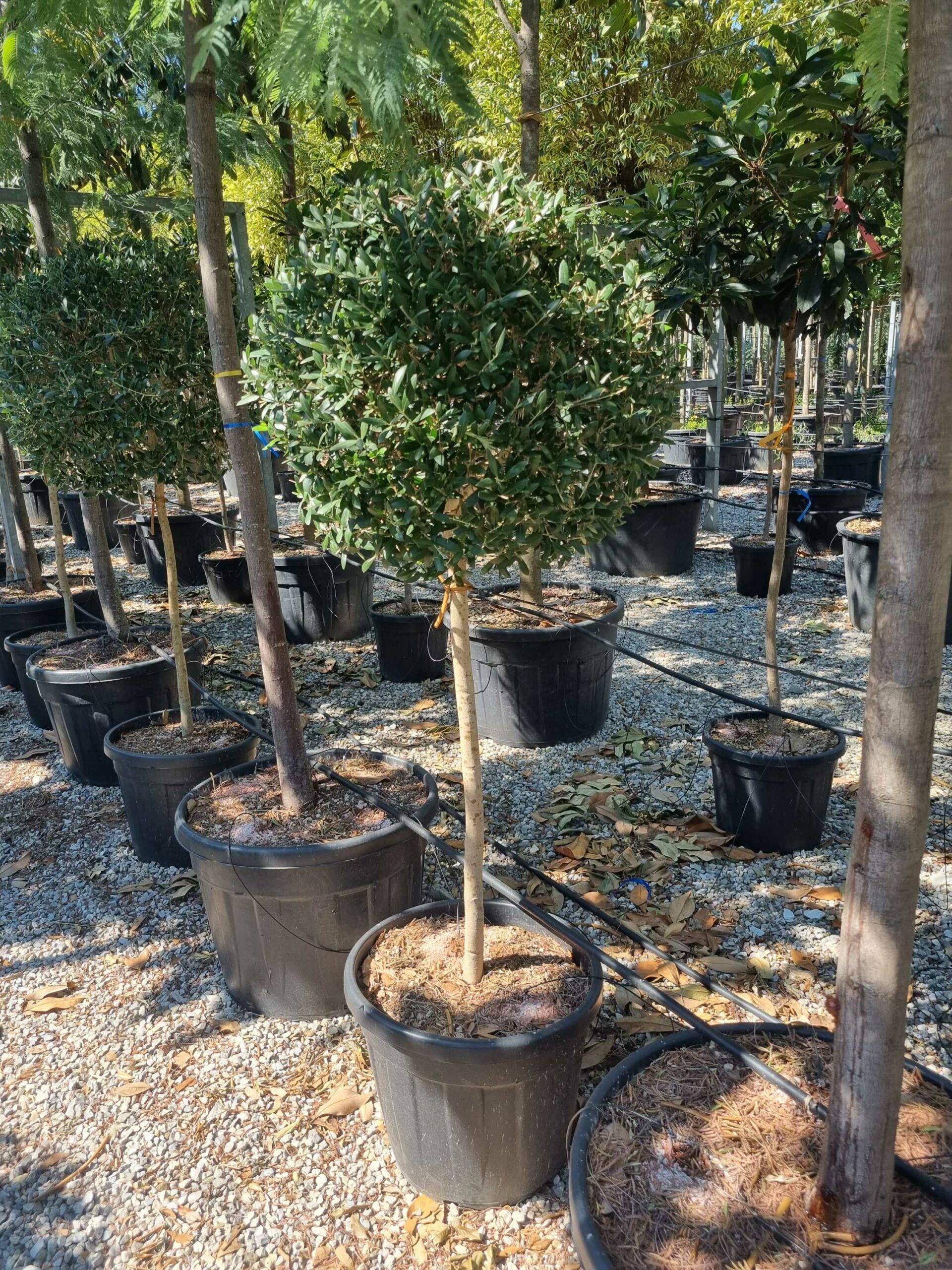 1692608640 scaled 88dc9bc7