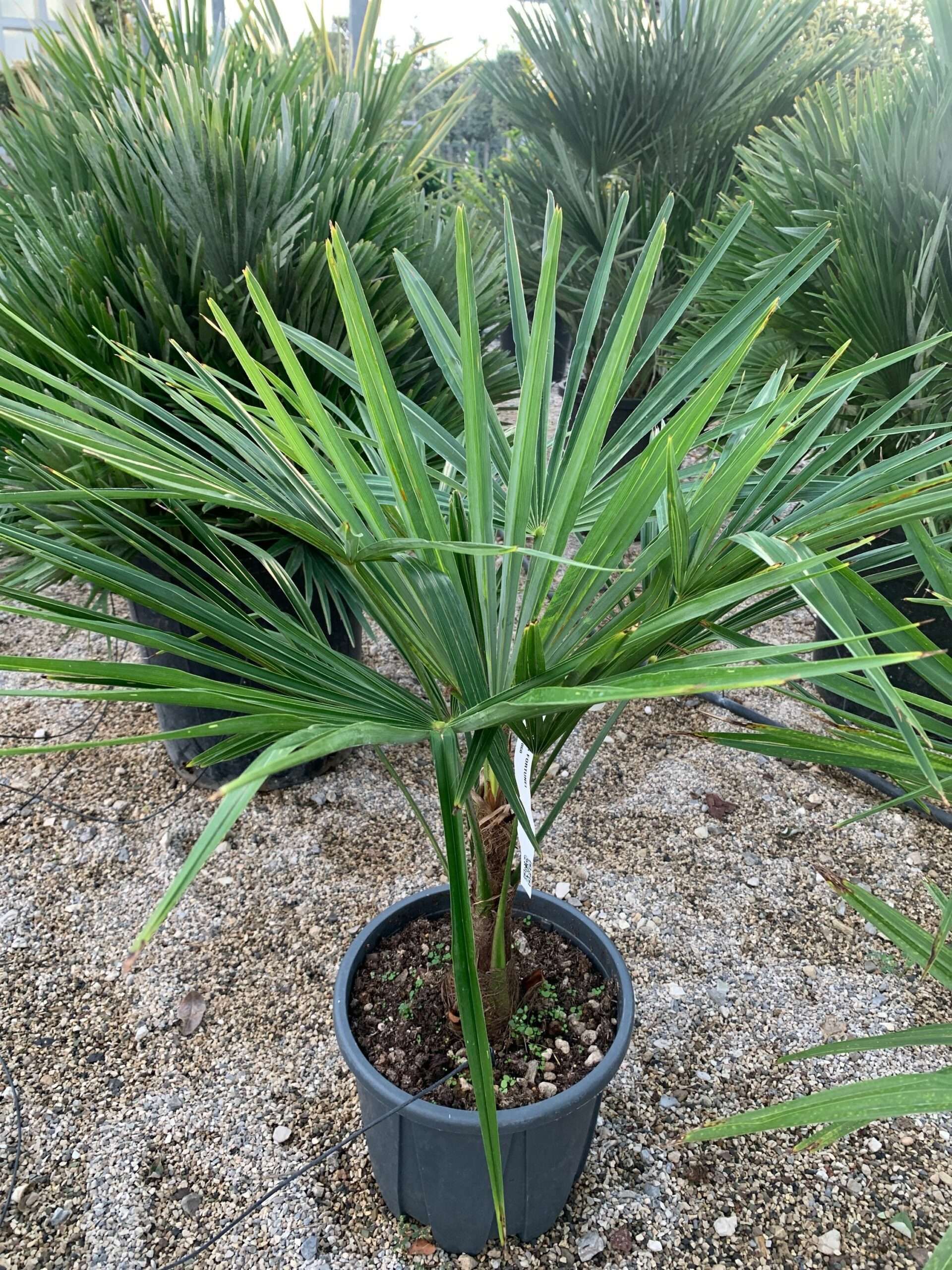 1633447007 scaled 89b799aa