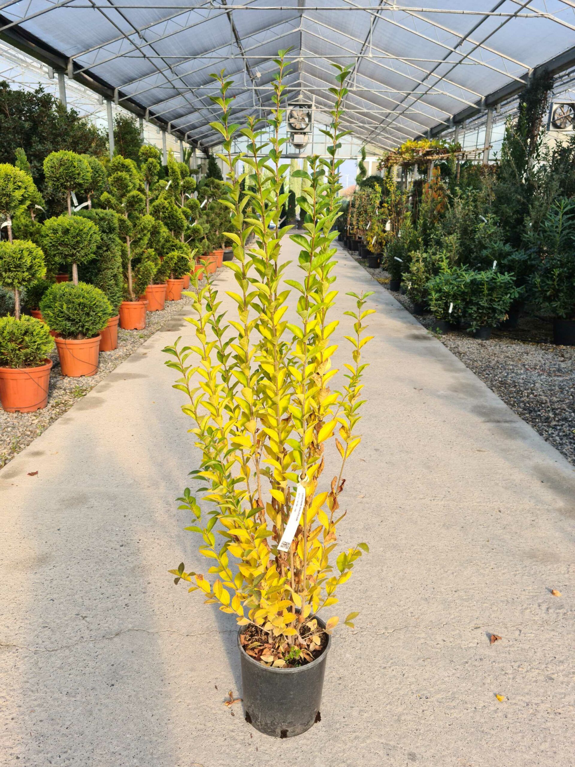 1639478126 scaled 89e2b39a