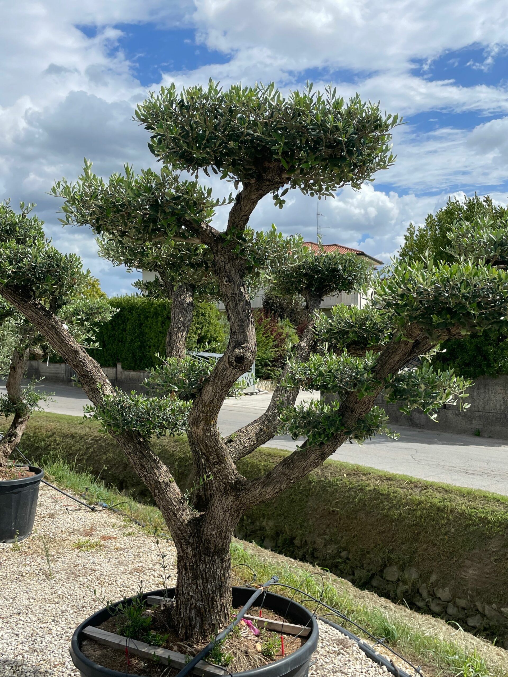 1662718331 scaled 892a54ae