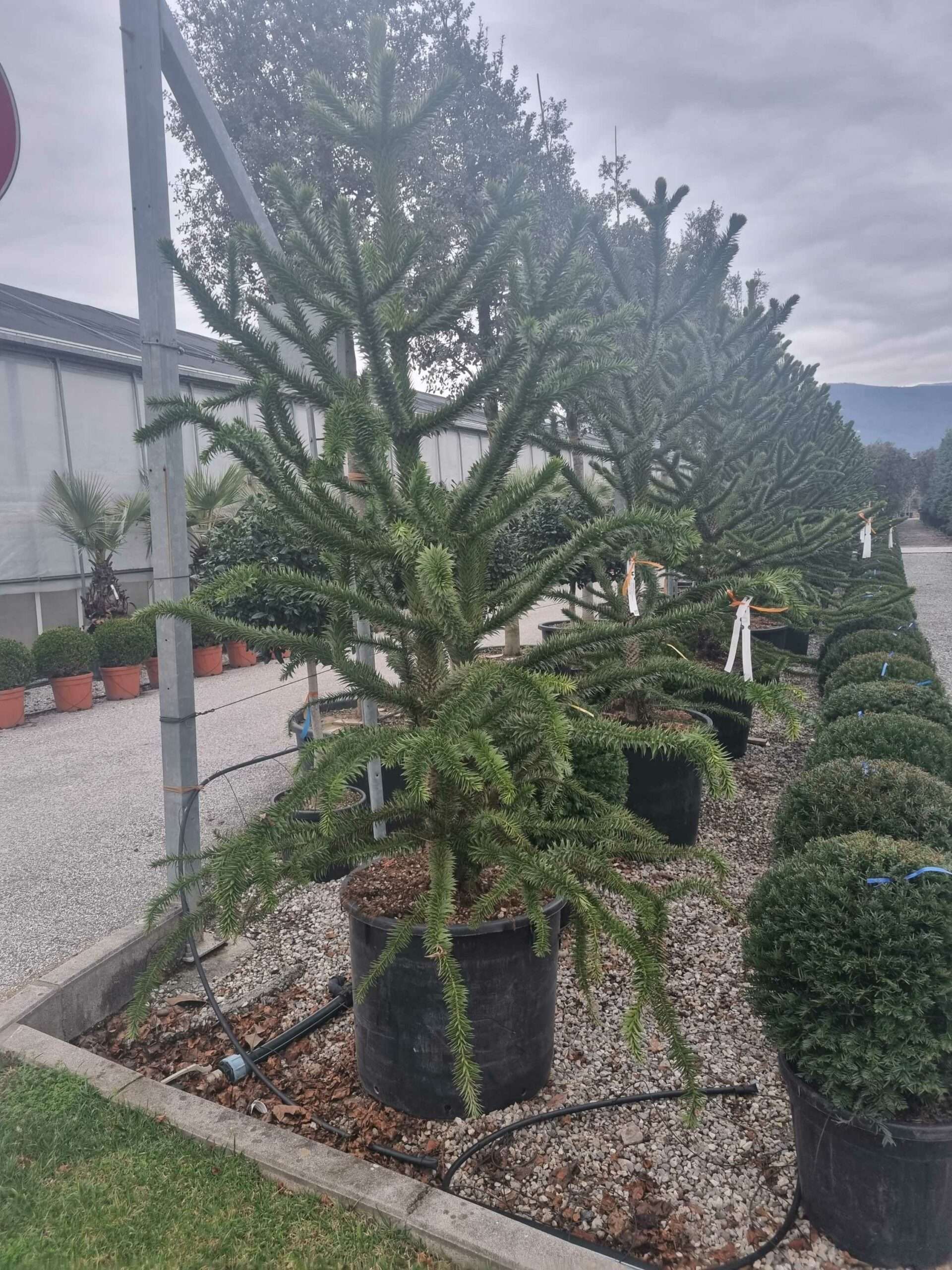 1673451031 scaled 89ae0b4e