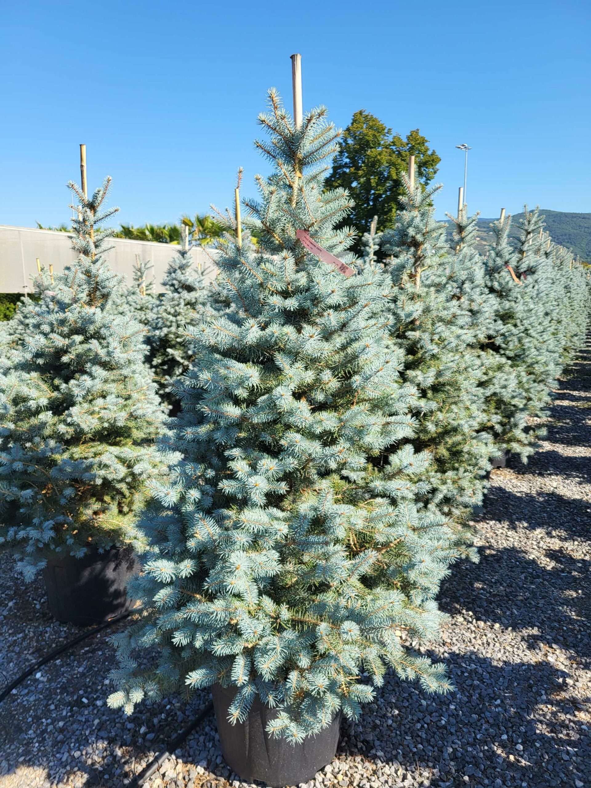 1691653125 scaled 891f329e