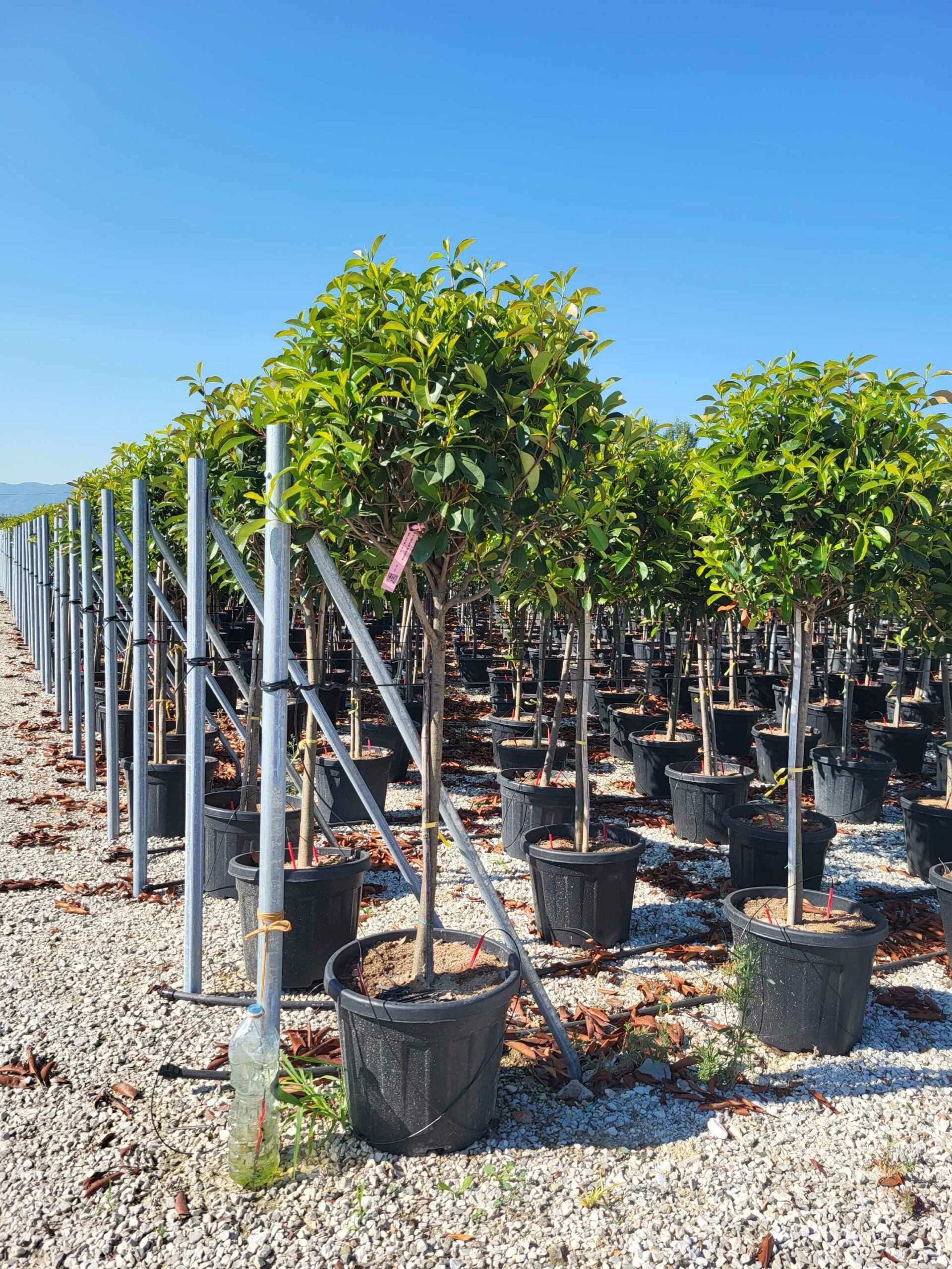 1692691012 scaled 89fbf8cf