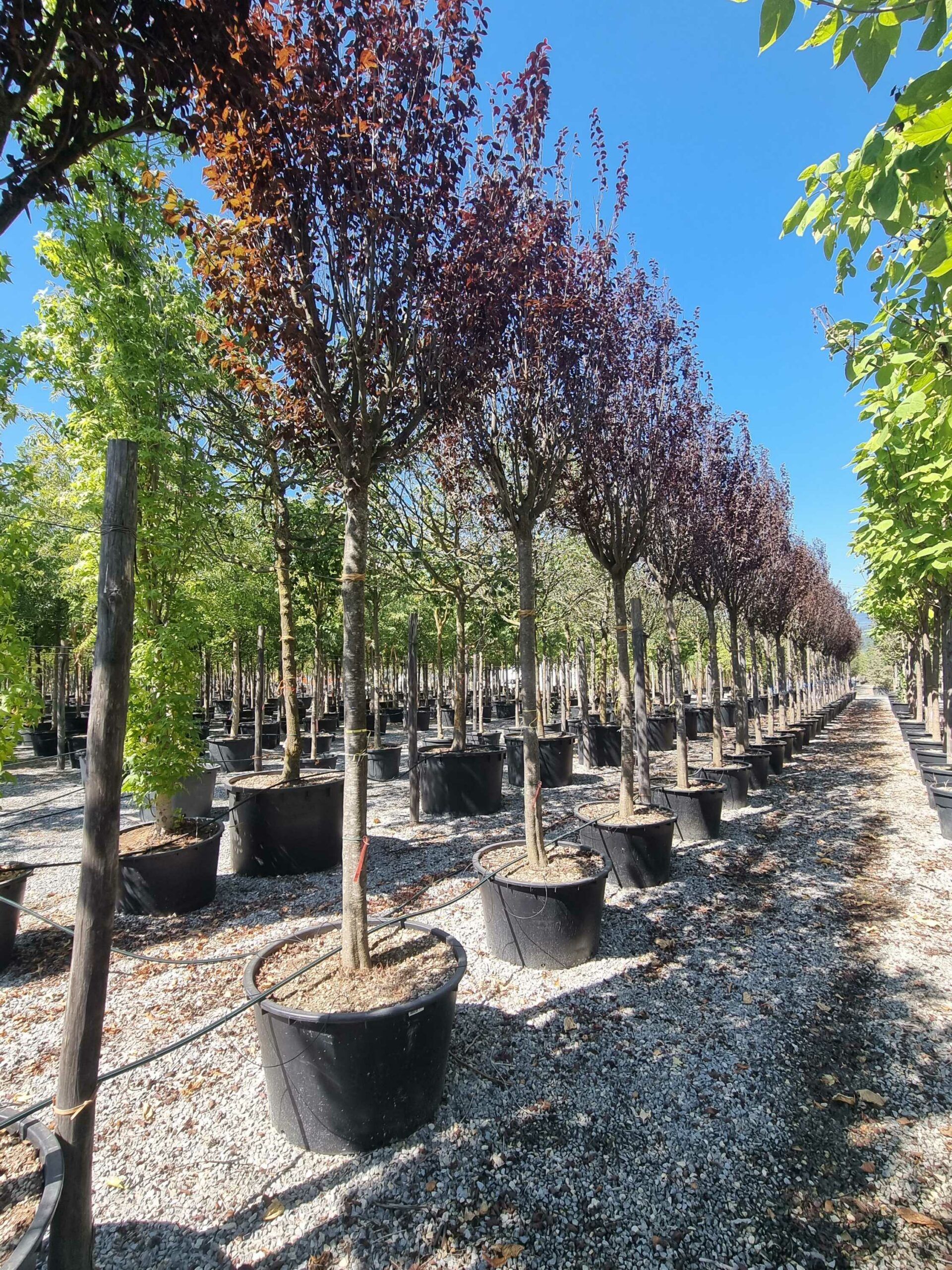 1692710028 scaled 89ede726