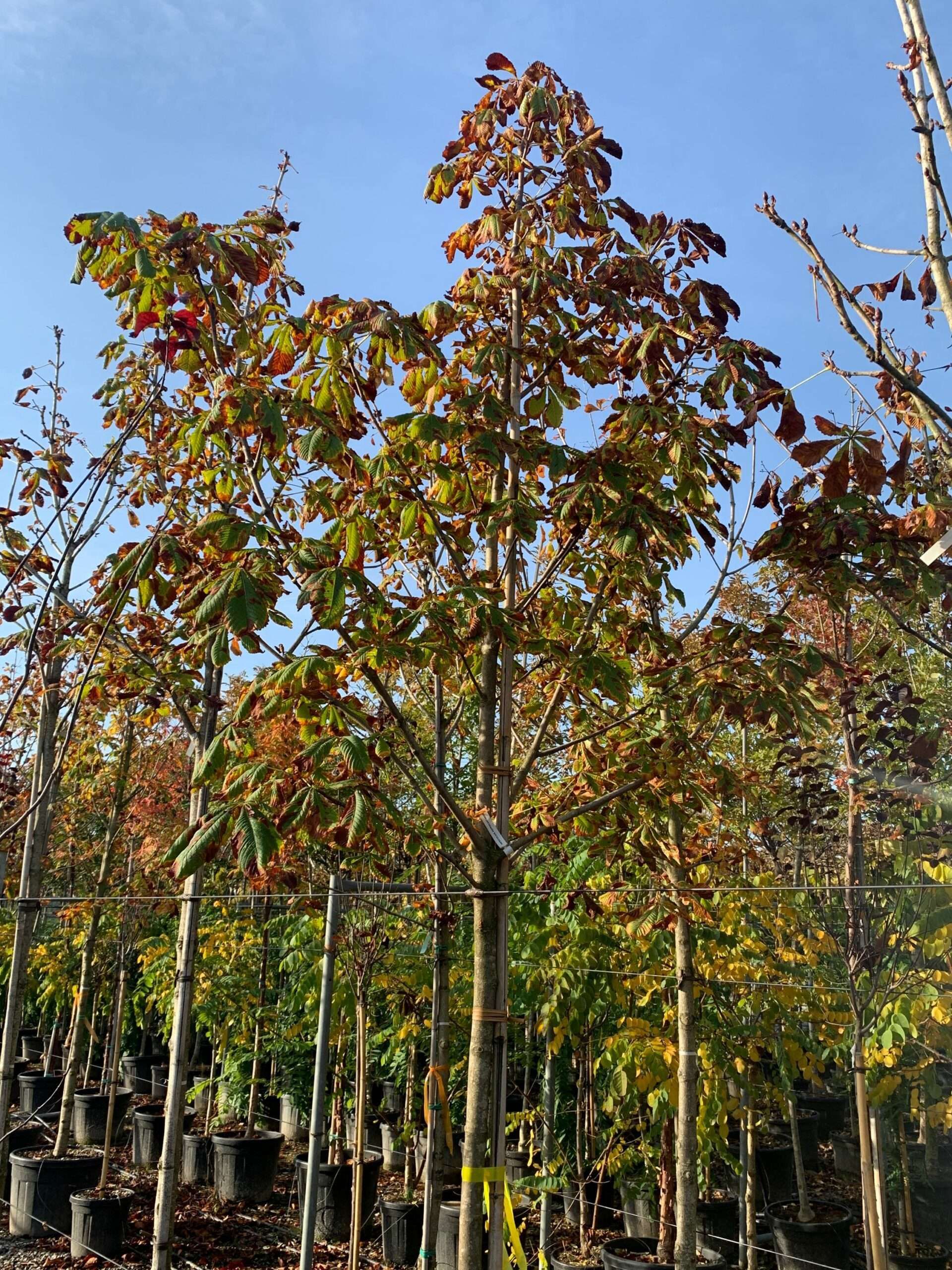 1635493765 scaled 8ae7ddbc