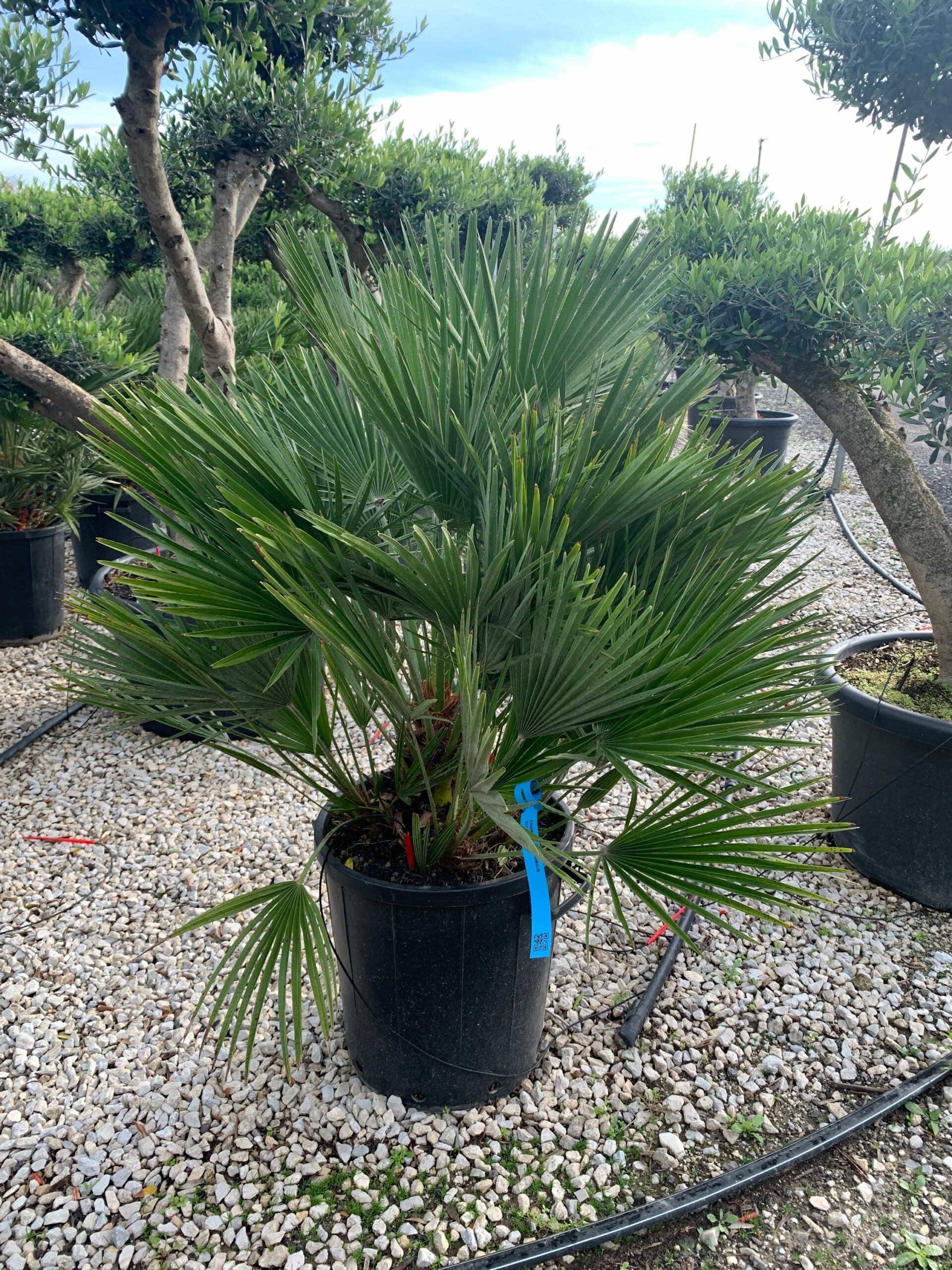 1636100982 scaled 8ada4f68