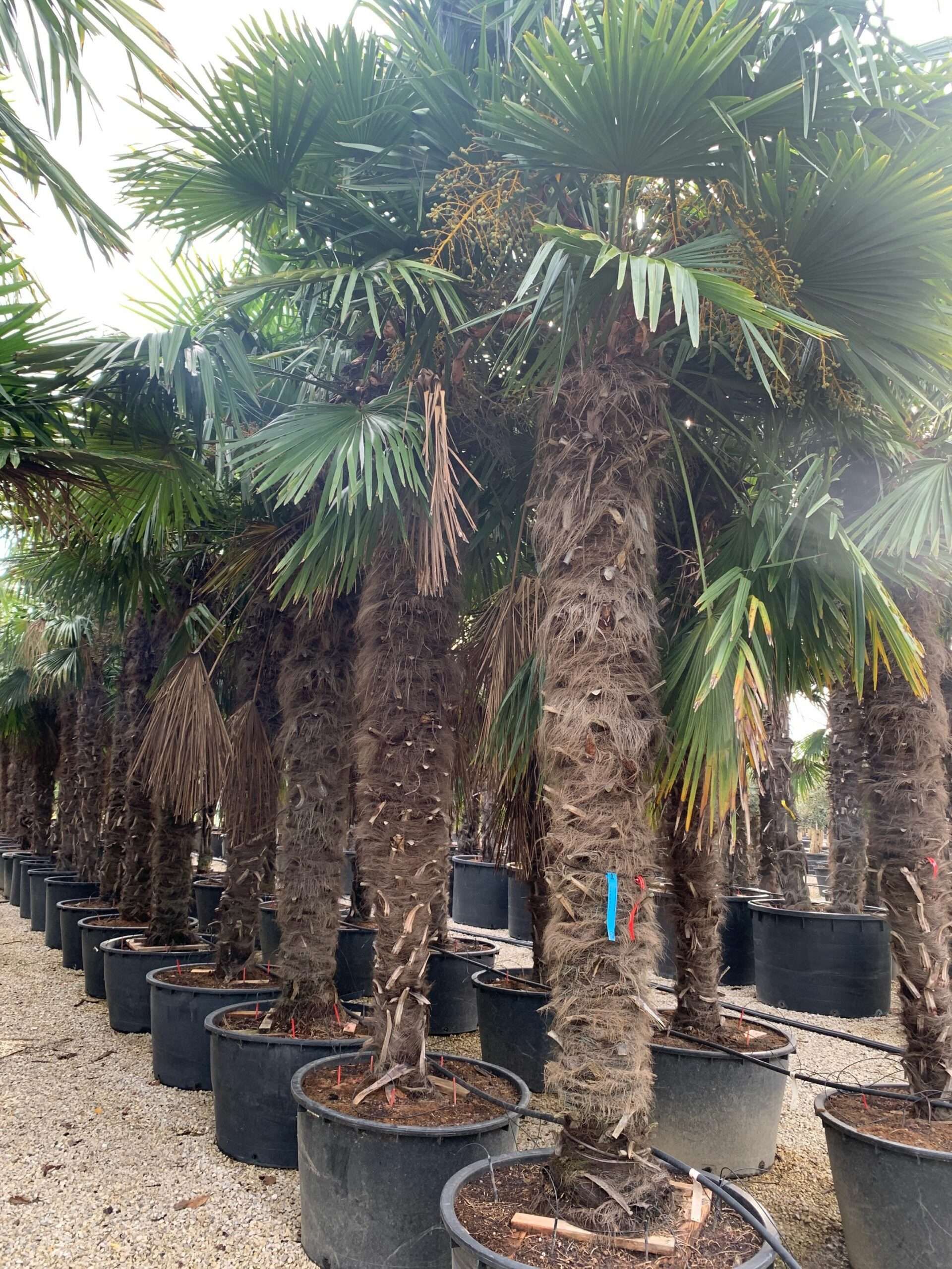 1636101256 scaled 8a33ec44