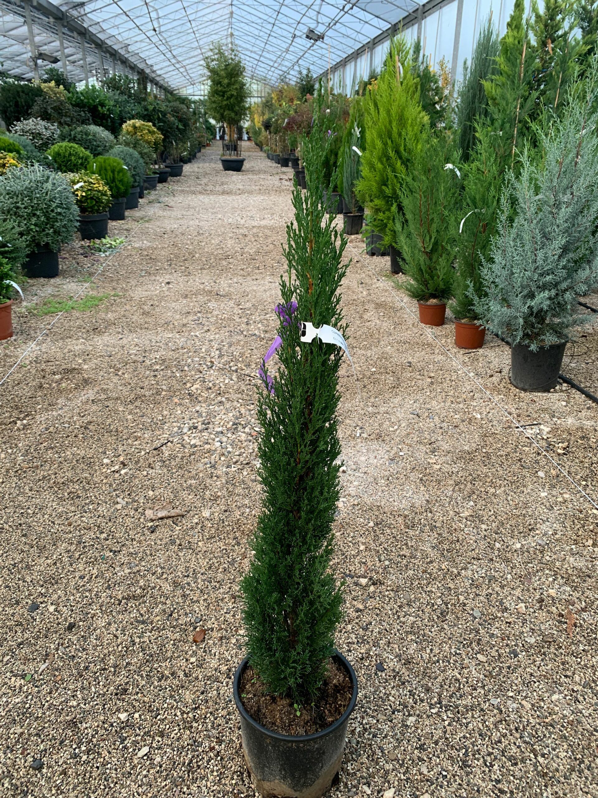 1636644498 scaled 8a7e0005