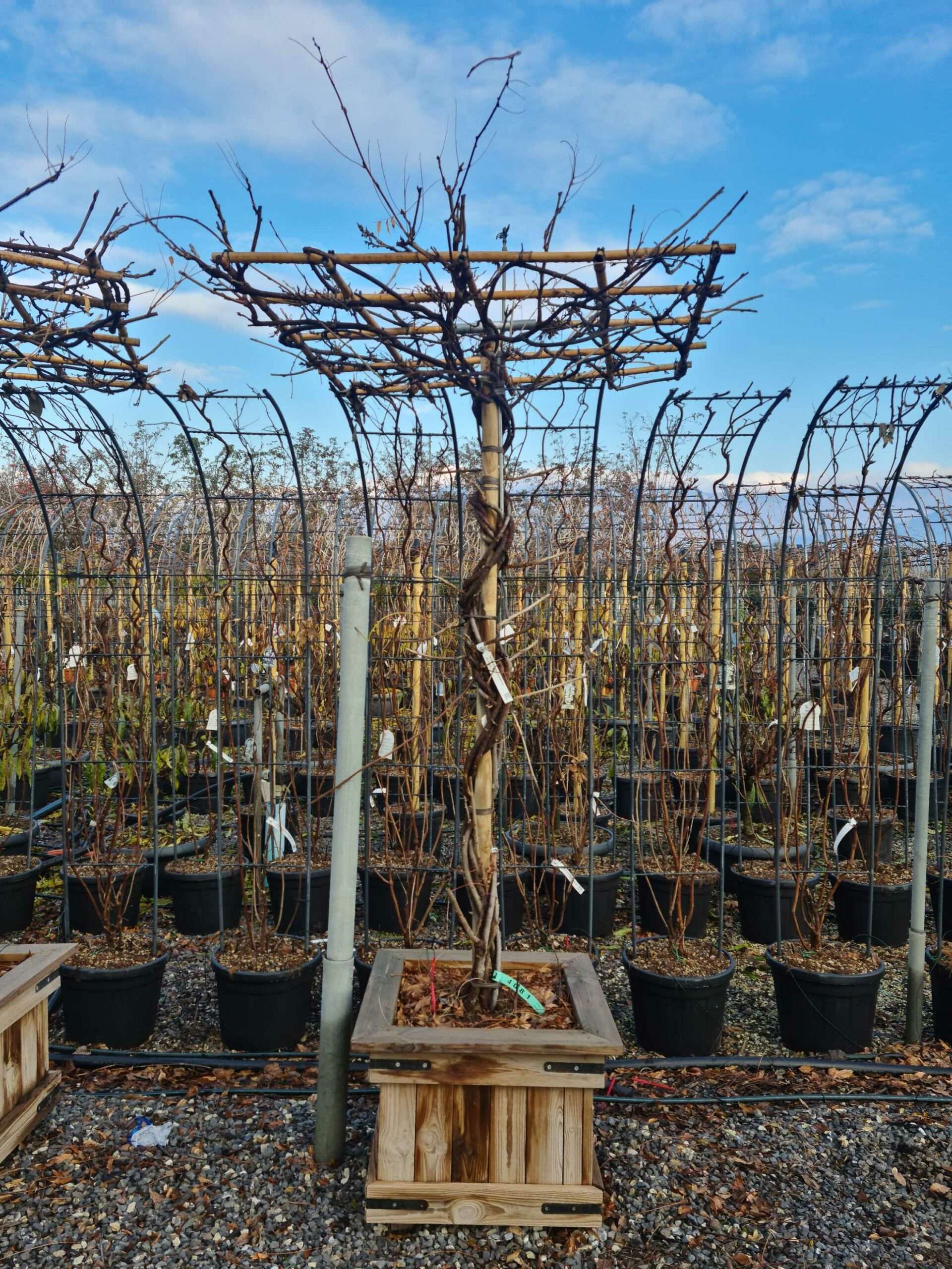 1640164631 scaled 8a4fec69