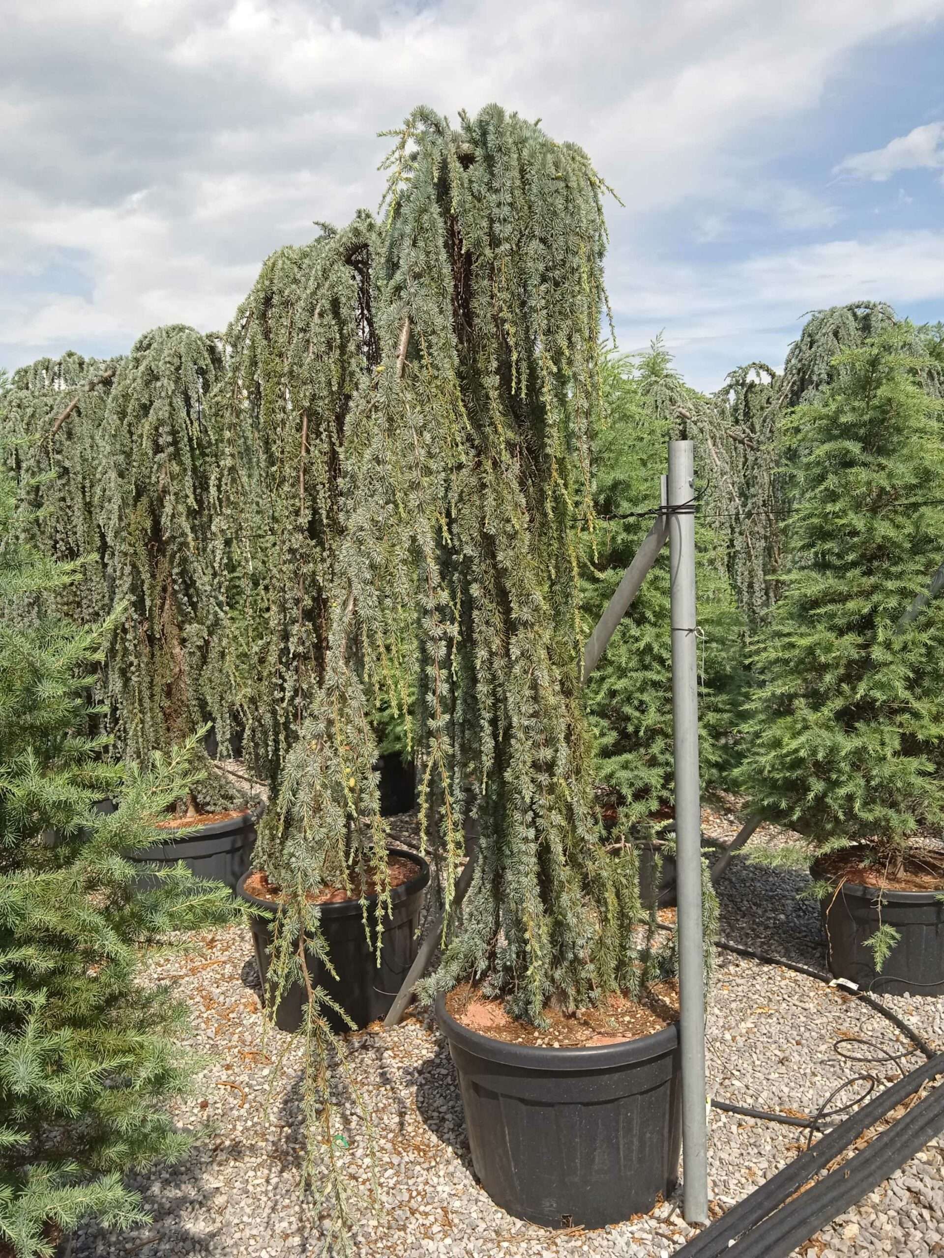 1662035675 scaled 8a57496a