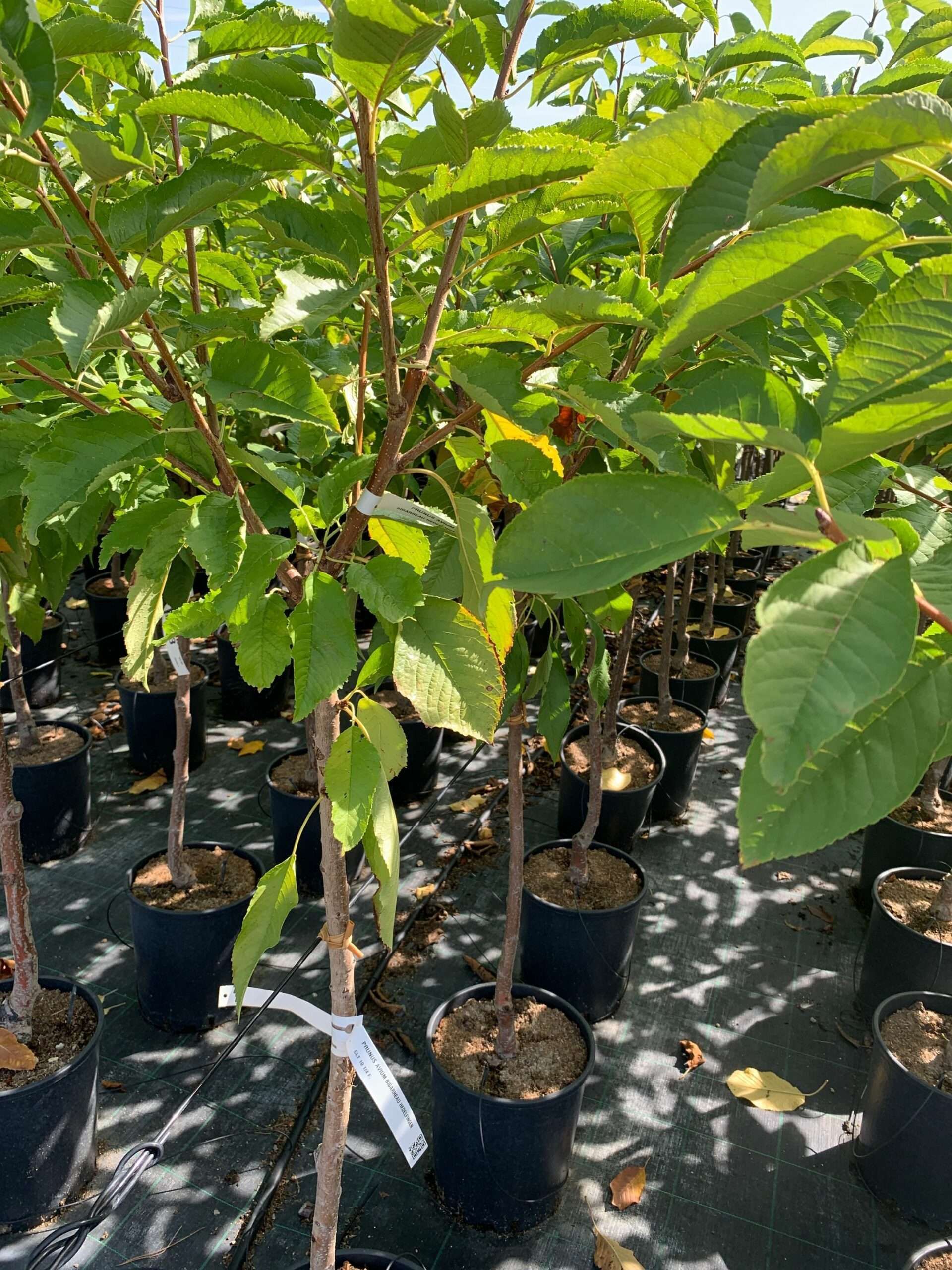 1662367587 scaled 8a49b12d