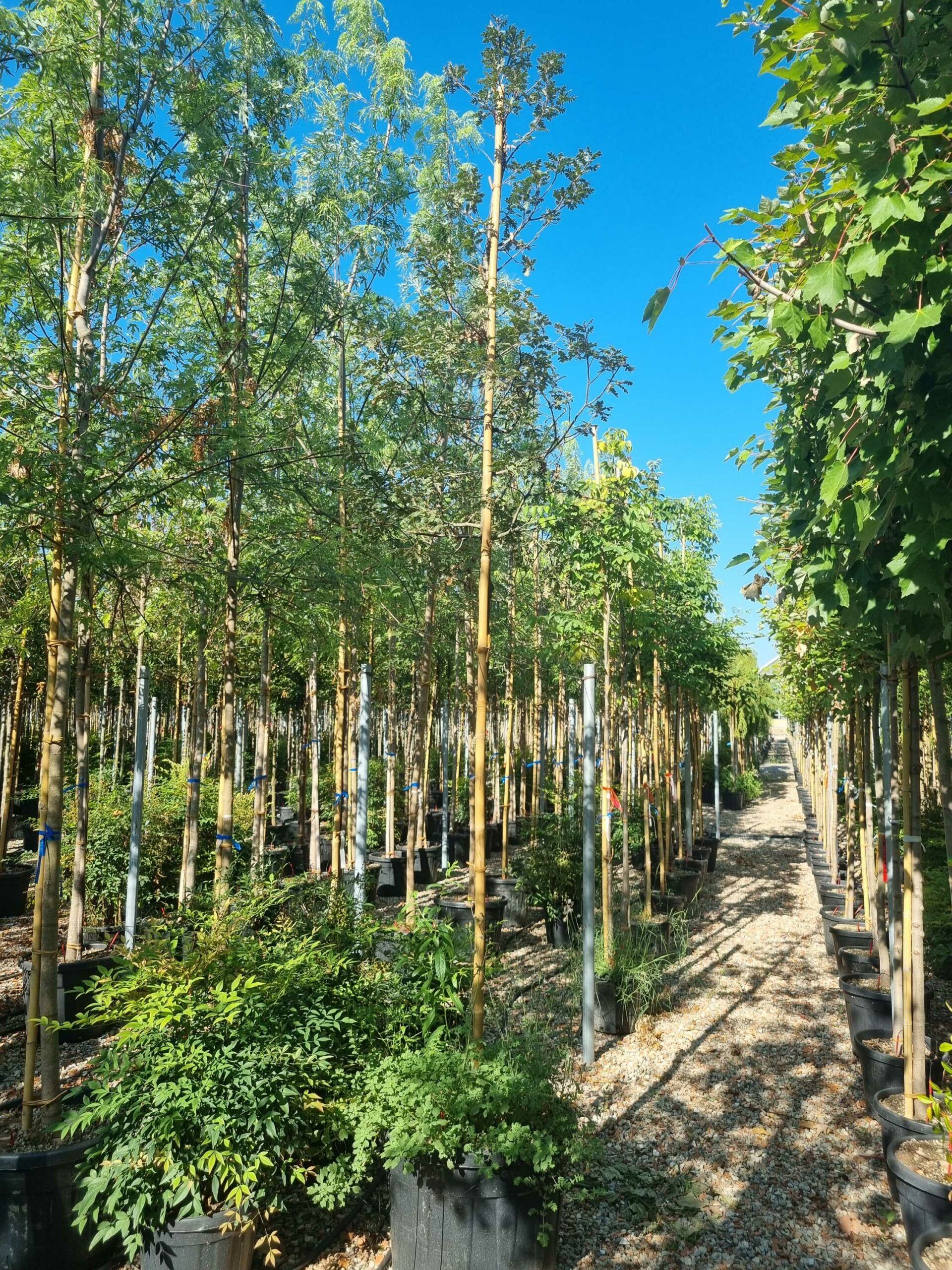 1692690086 scaled 8a6ac298