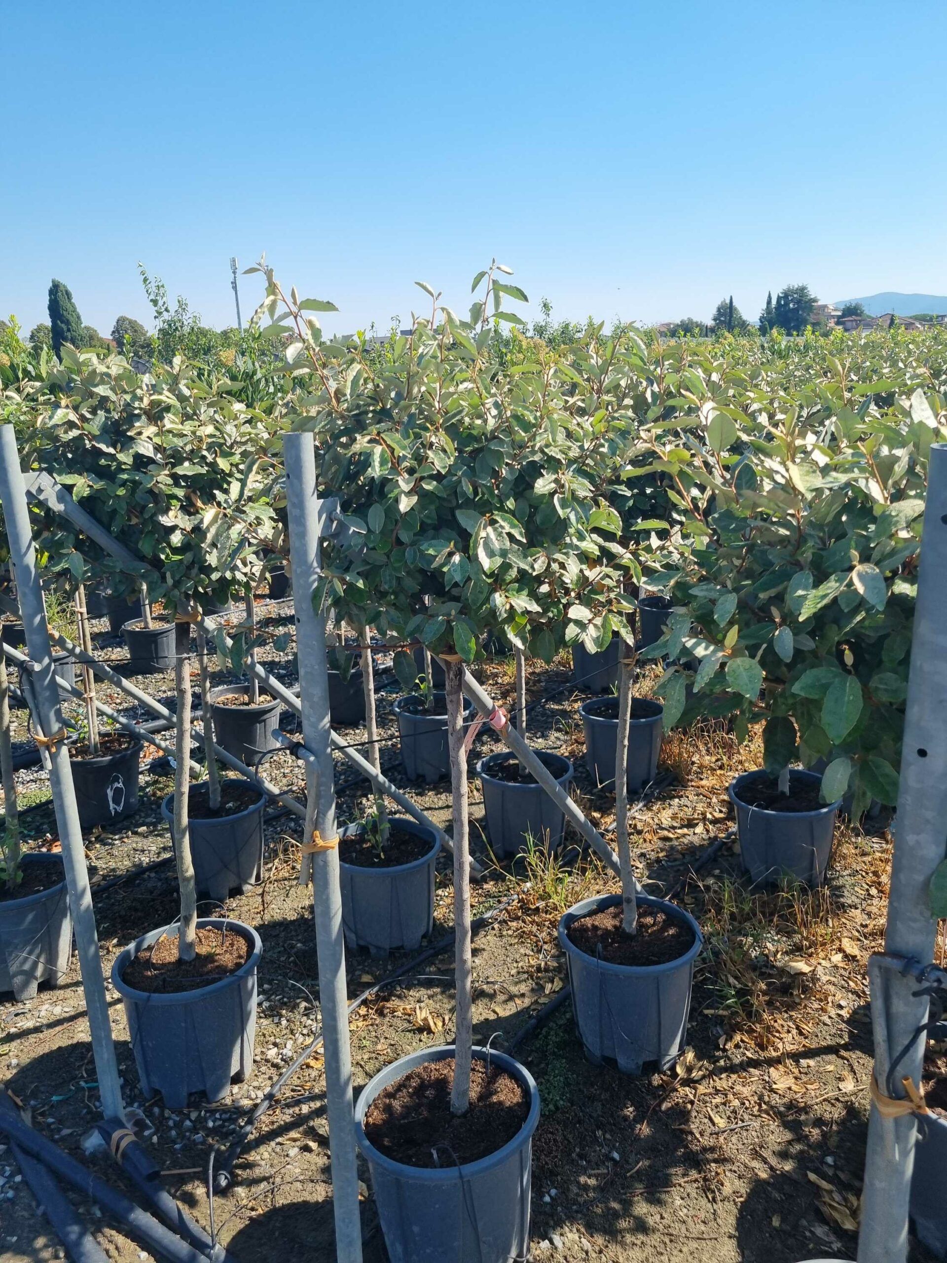 1694437218 scaled 8a893bc5