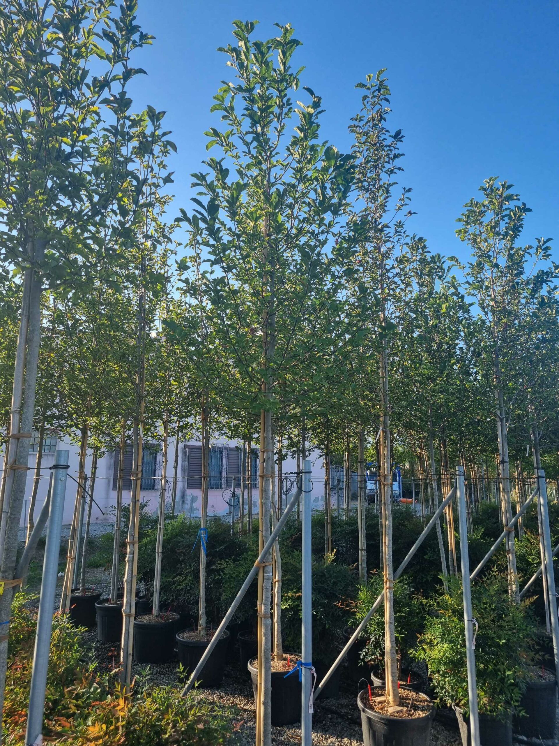 1695655595 scaled 8a87b63d