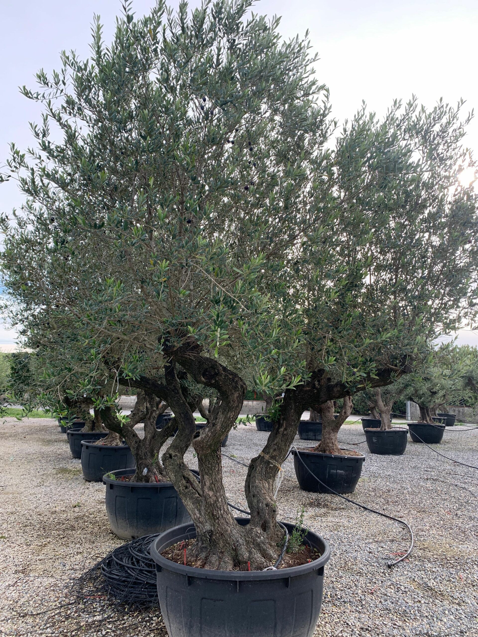 1636101839 scaled 8b18c9d5