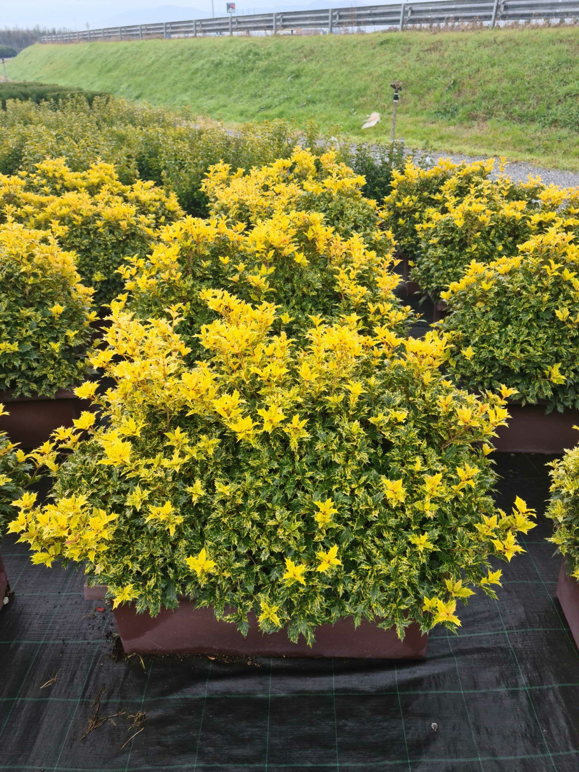 1640248578 scaled 8b50654e