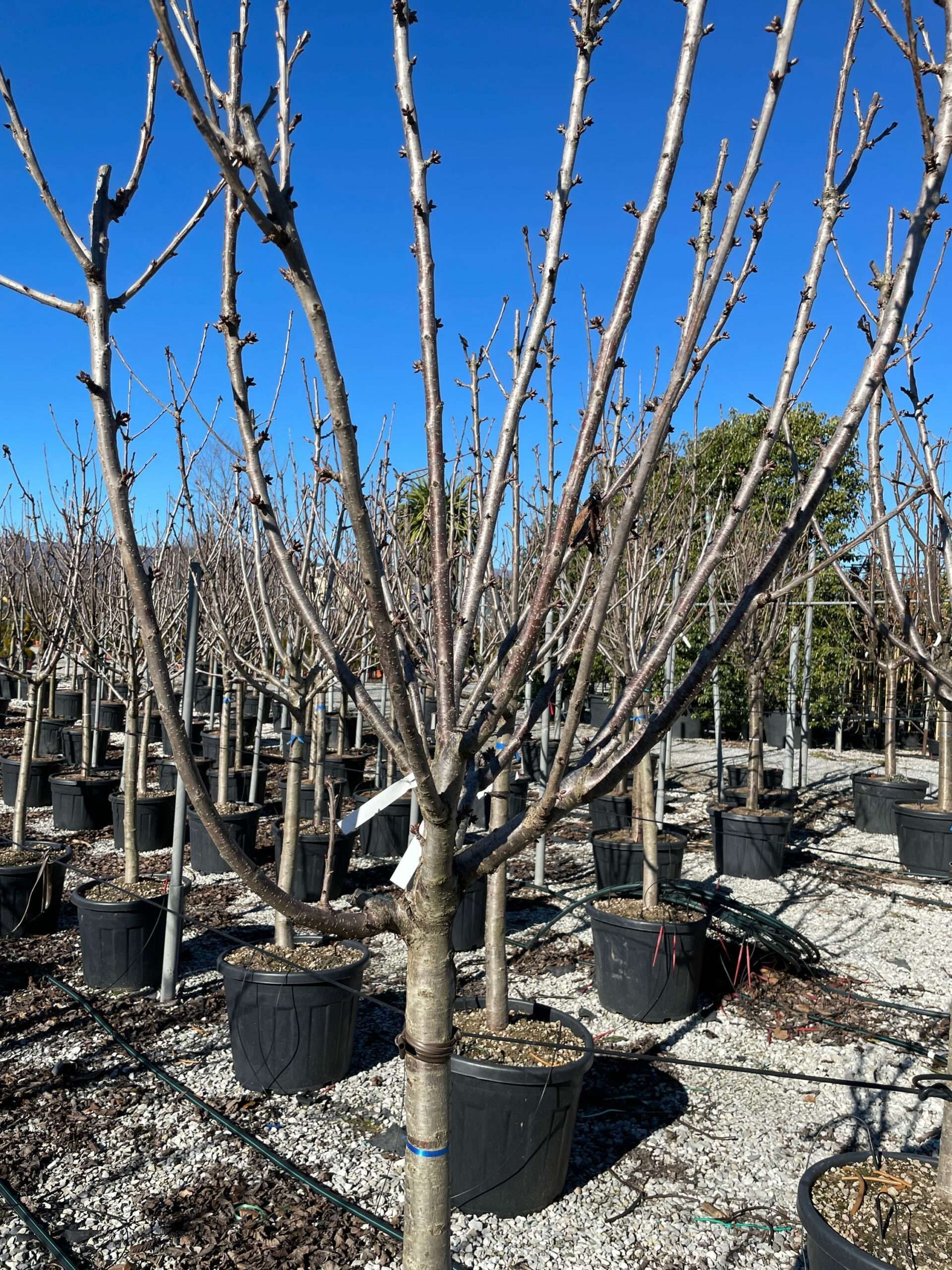 1643714285 scaled 8b7983d6