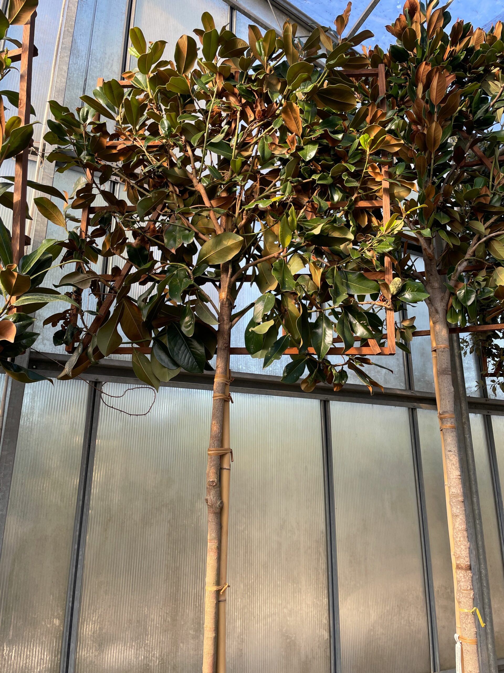 1661355947 scaled 8bc65608