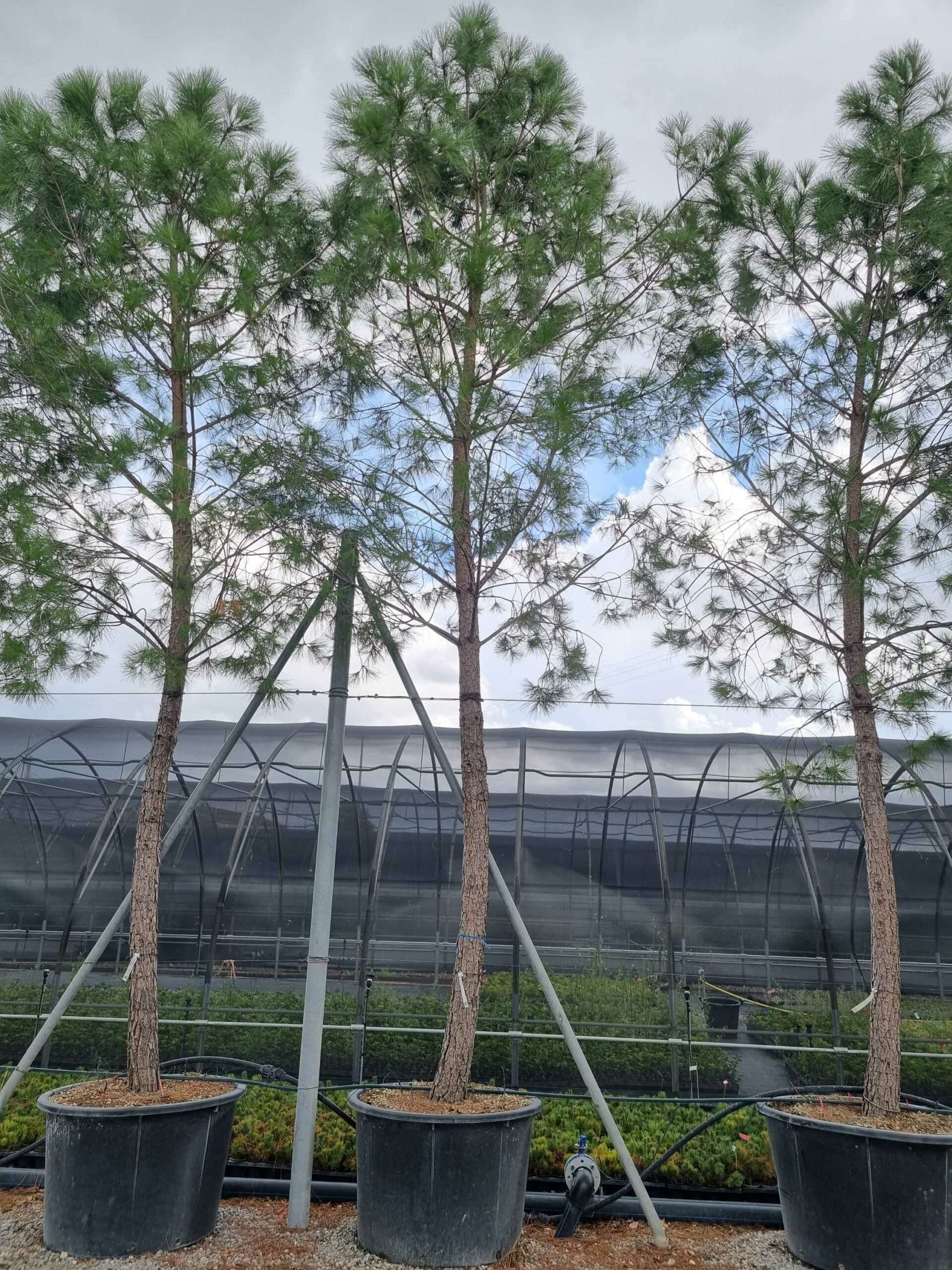 1664444876 scaled 8bbc570d