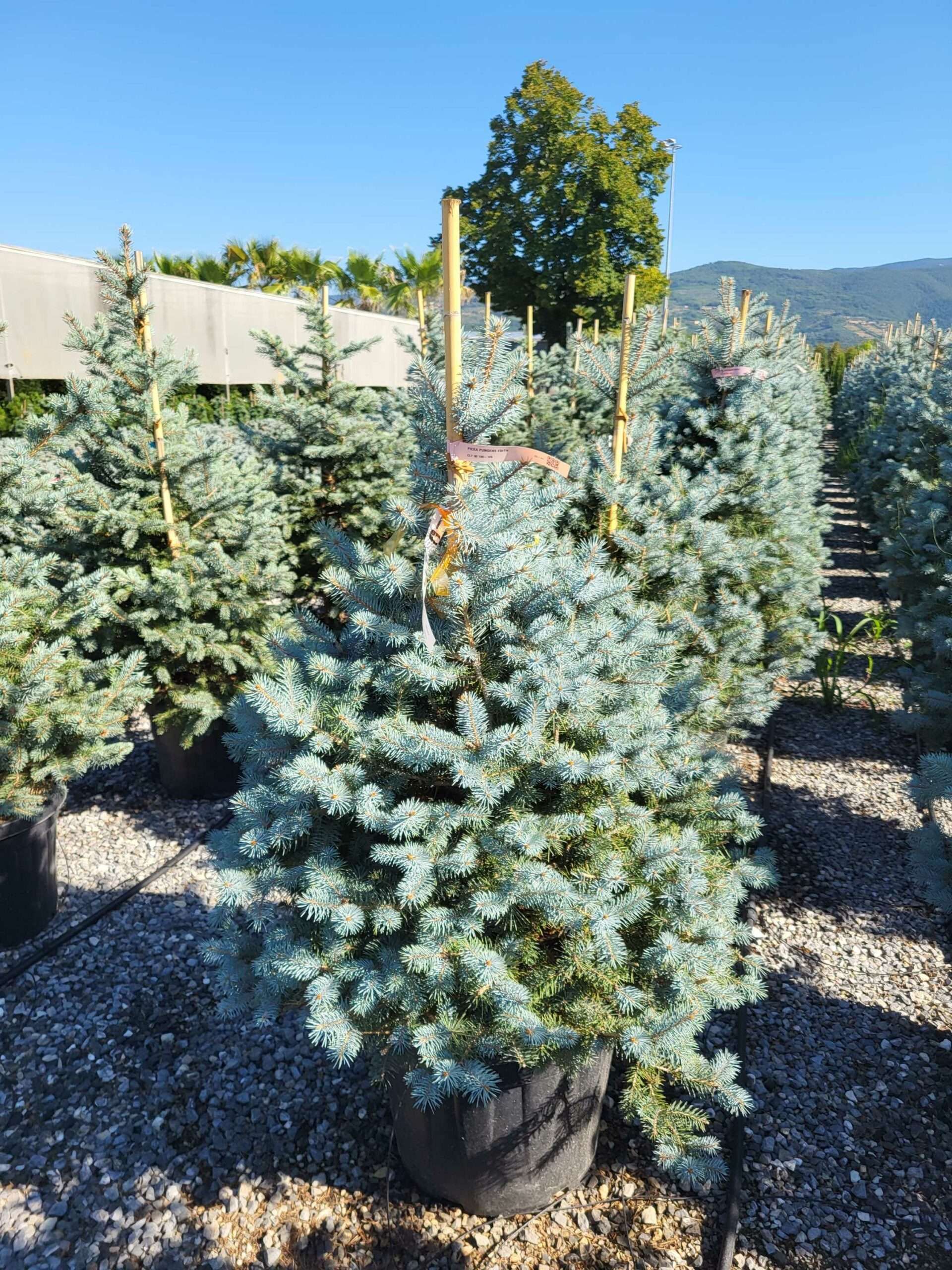 1691653158 scaled 8b82e23d