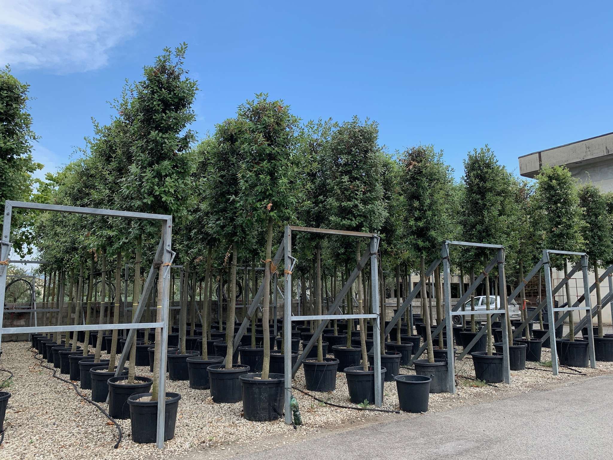 1614272281 016ea532d8fc389631214d5be6cc757f6a008ba3a2 8cb88b23