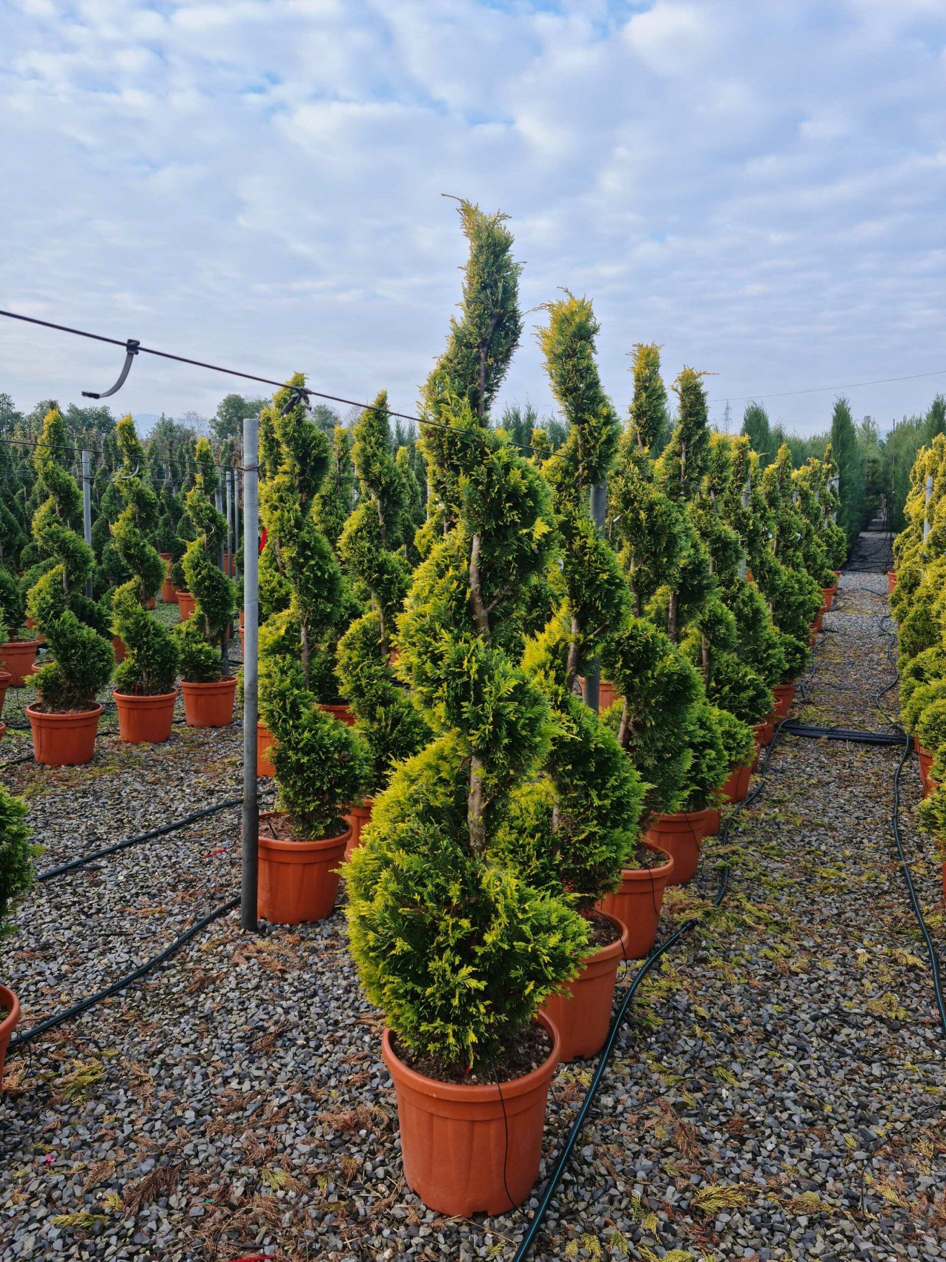 1640162897 scaled 8ce05460