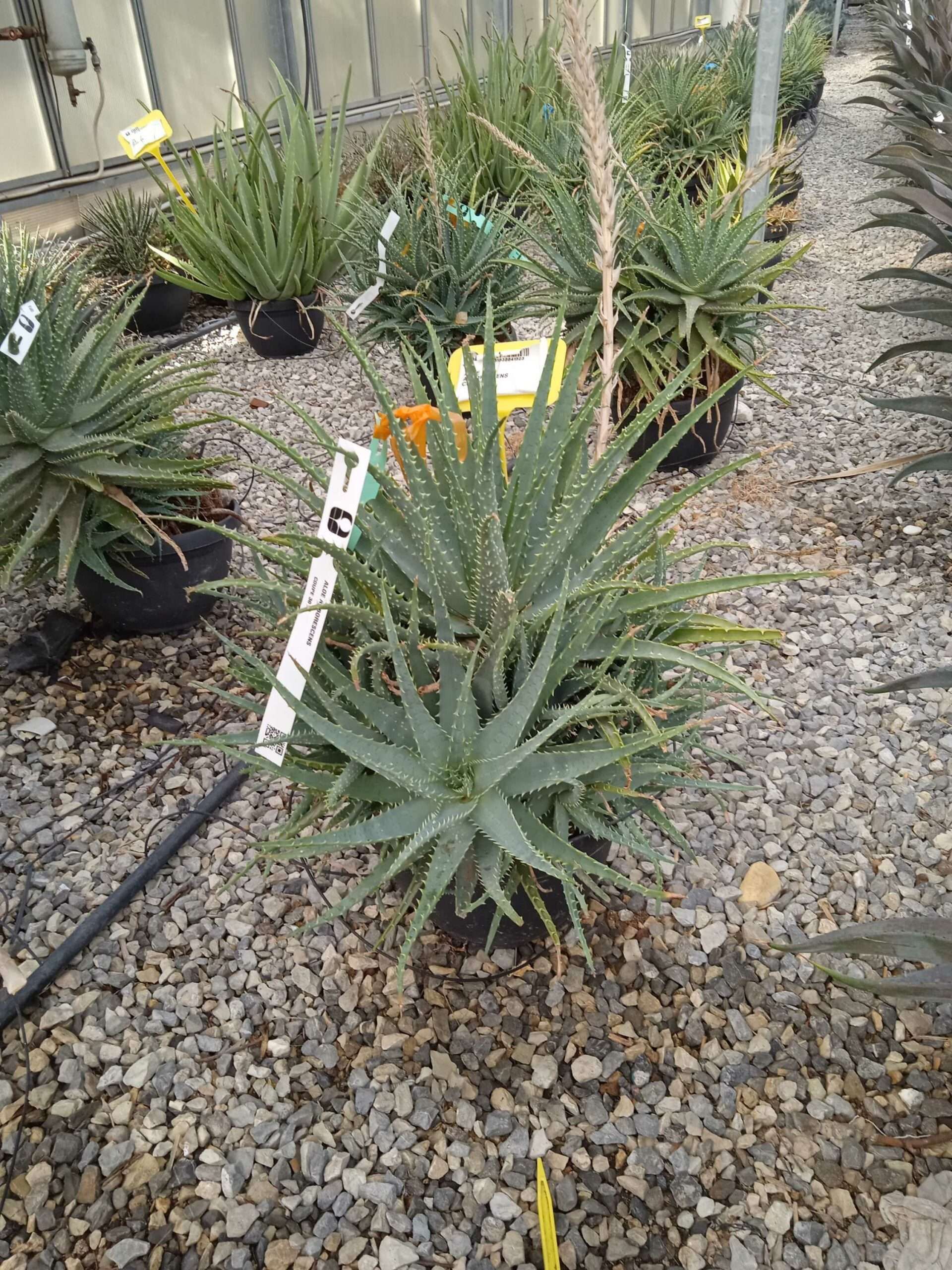 1662367084 scaled 8c957eaa