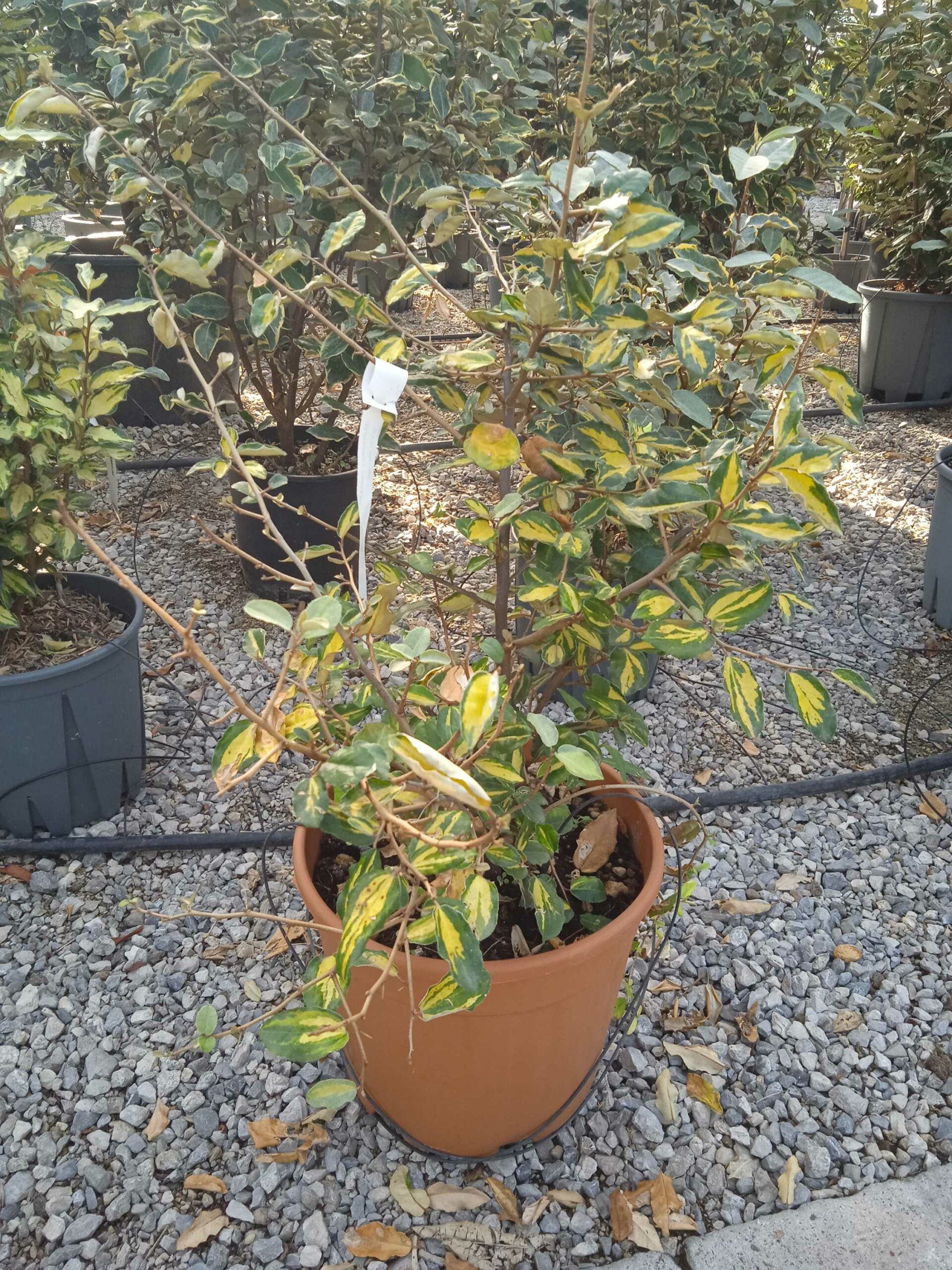 1662446003 scaled 8c826174