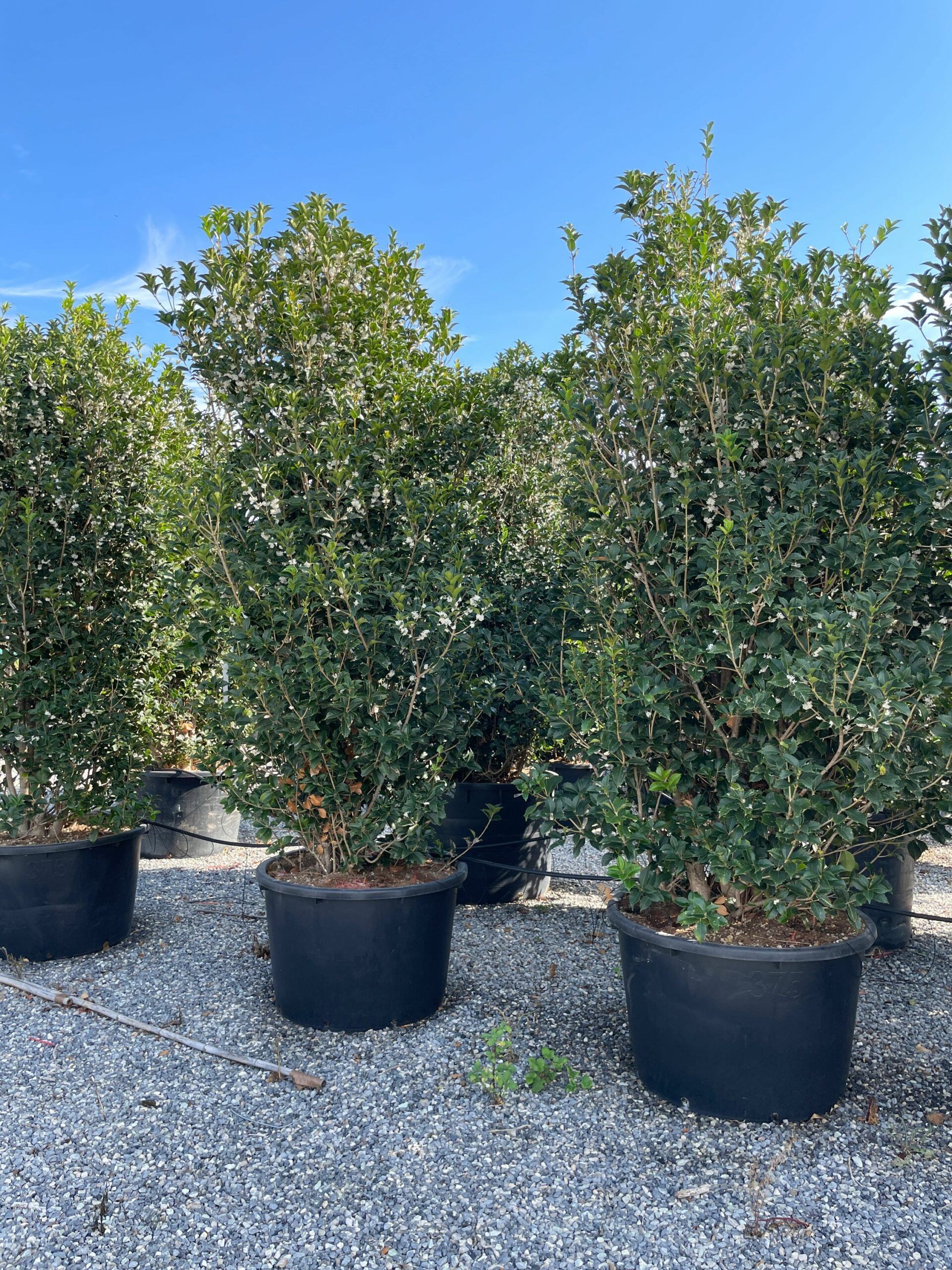 1665306657 scaled 8c10c528