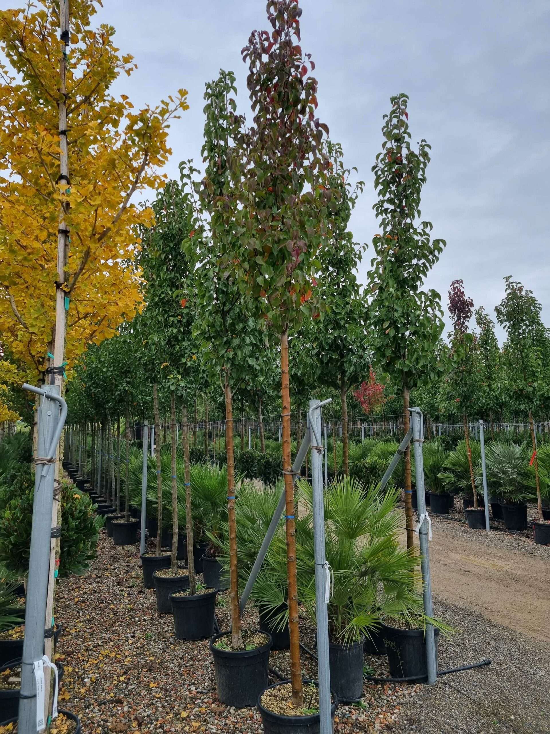 1668501472 scaled 8cf5789f