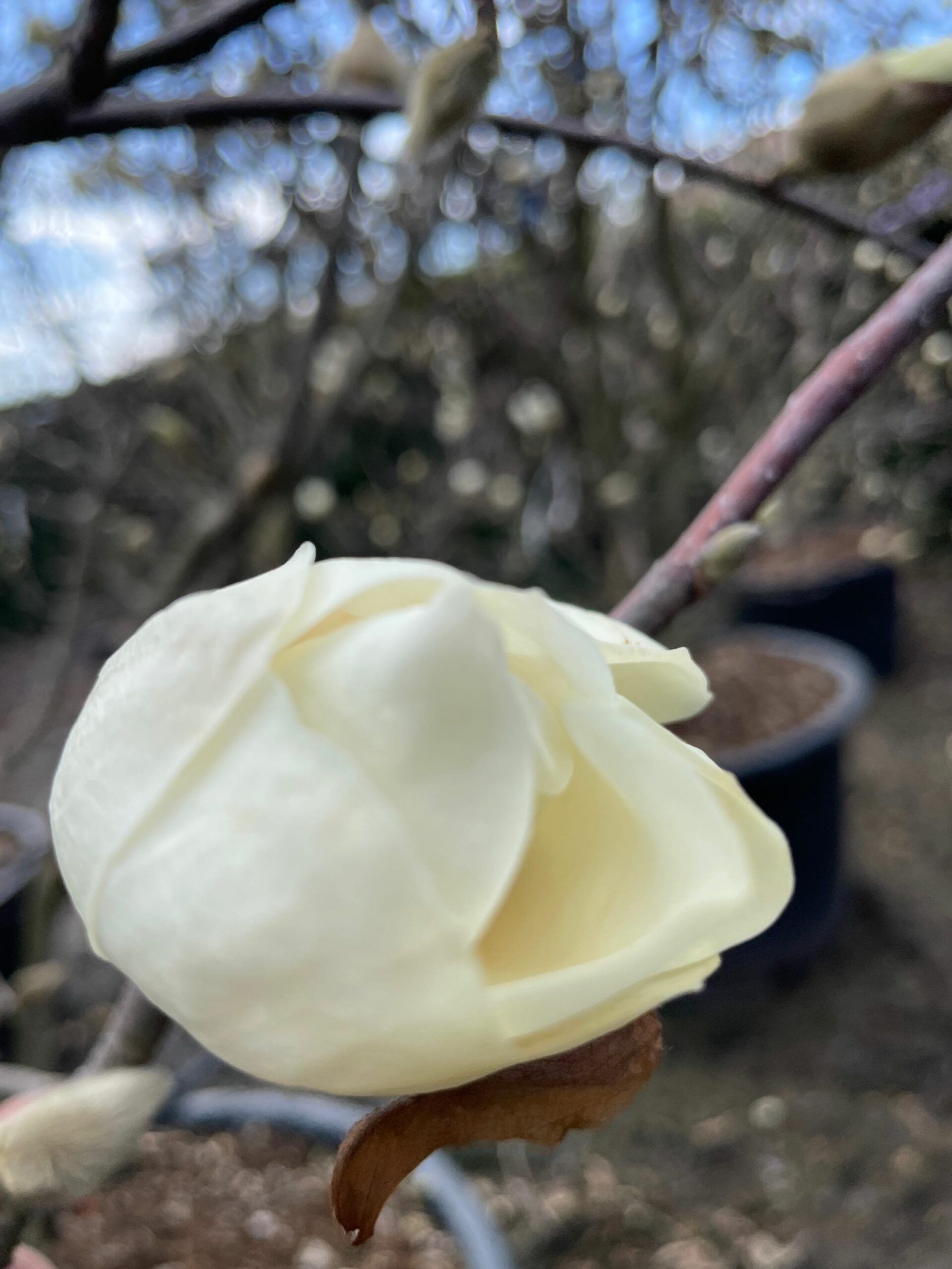 1677849586 scaled 8c18783e