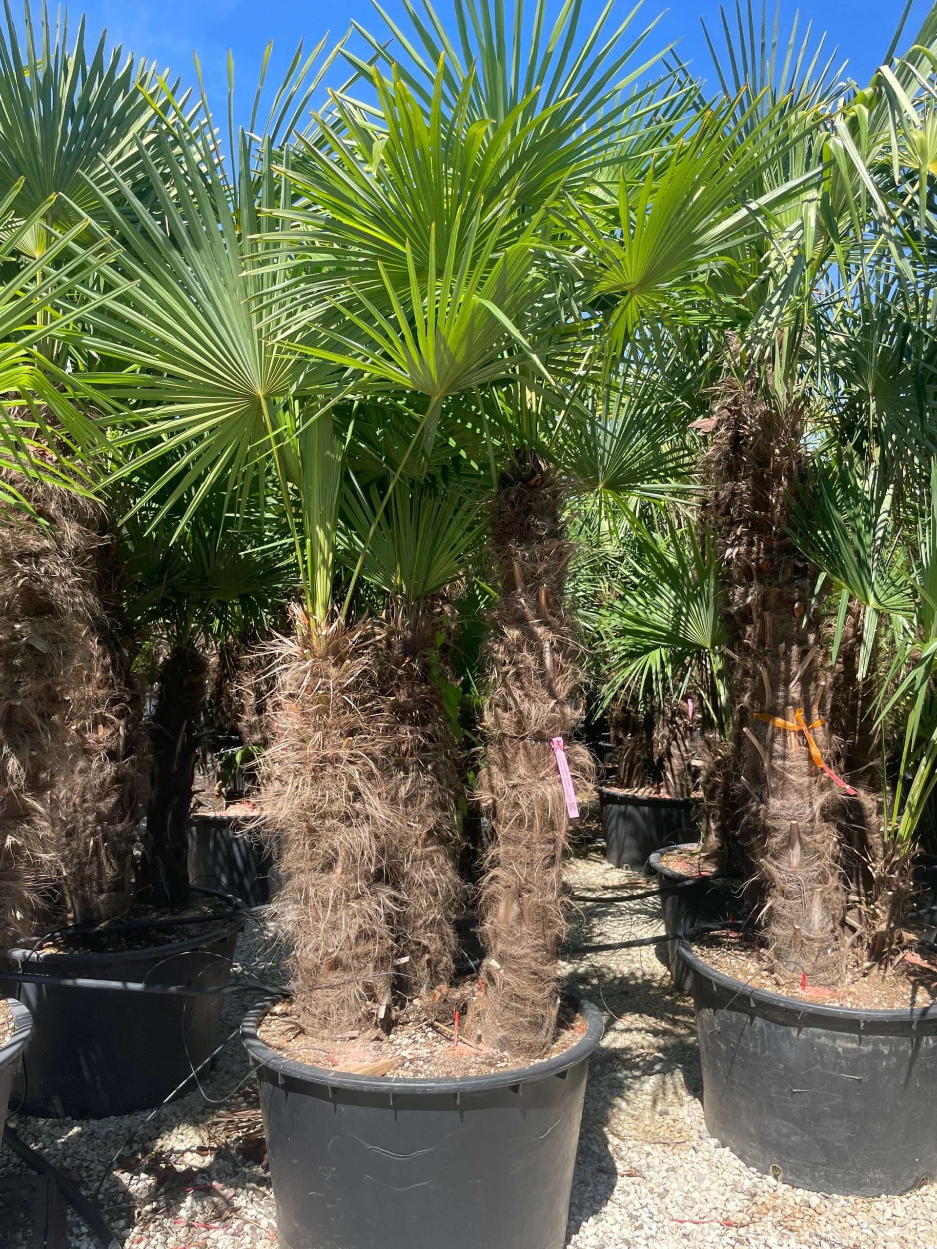 1691499696 scaled 8c7eb46f