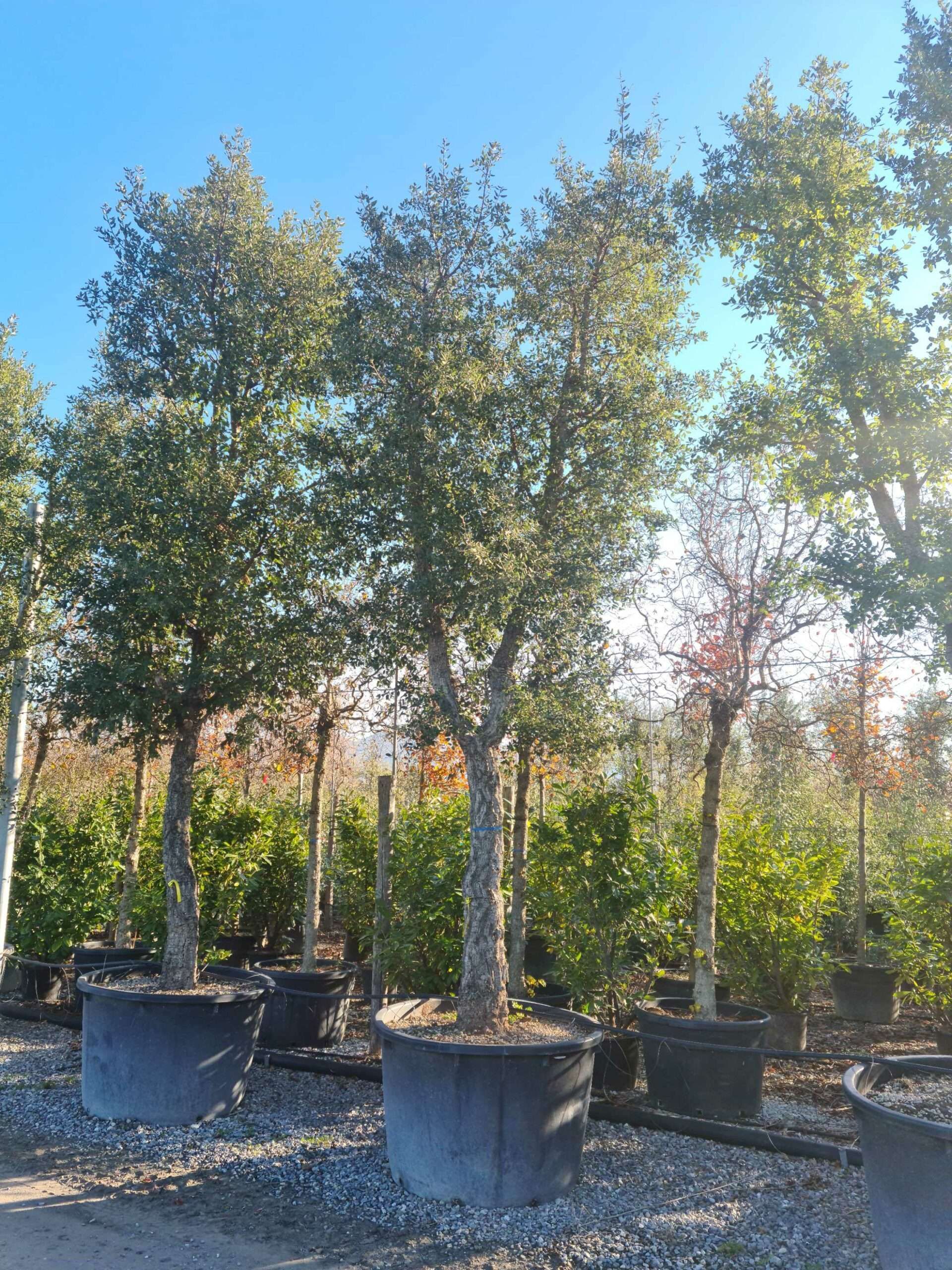 1639731602 scaled 8dfdb00d