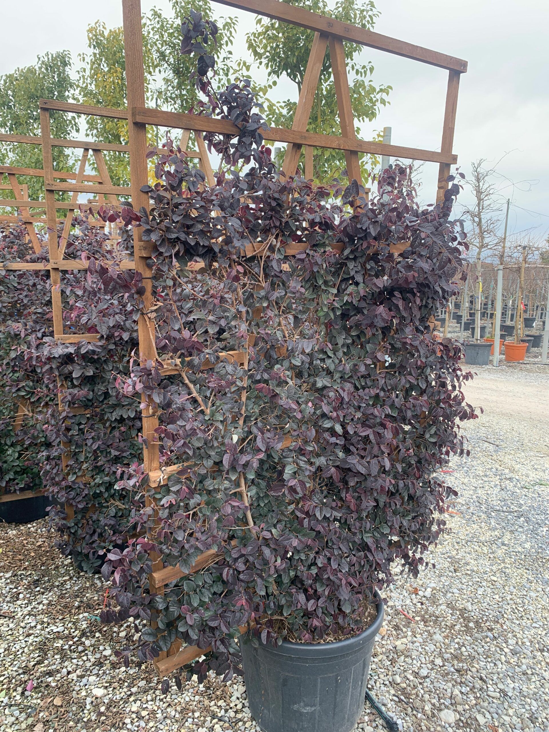 1644490868 scaled 8d3412a8