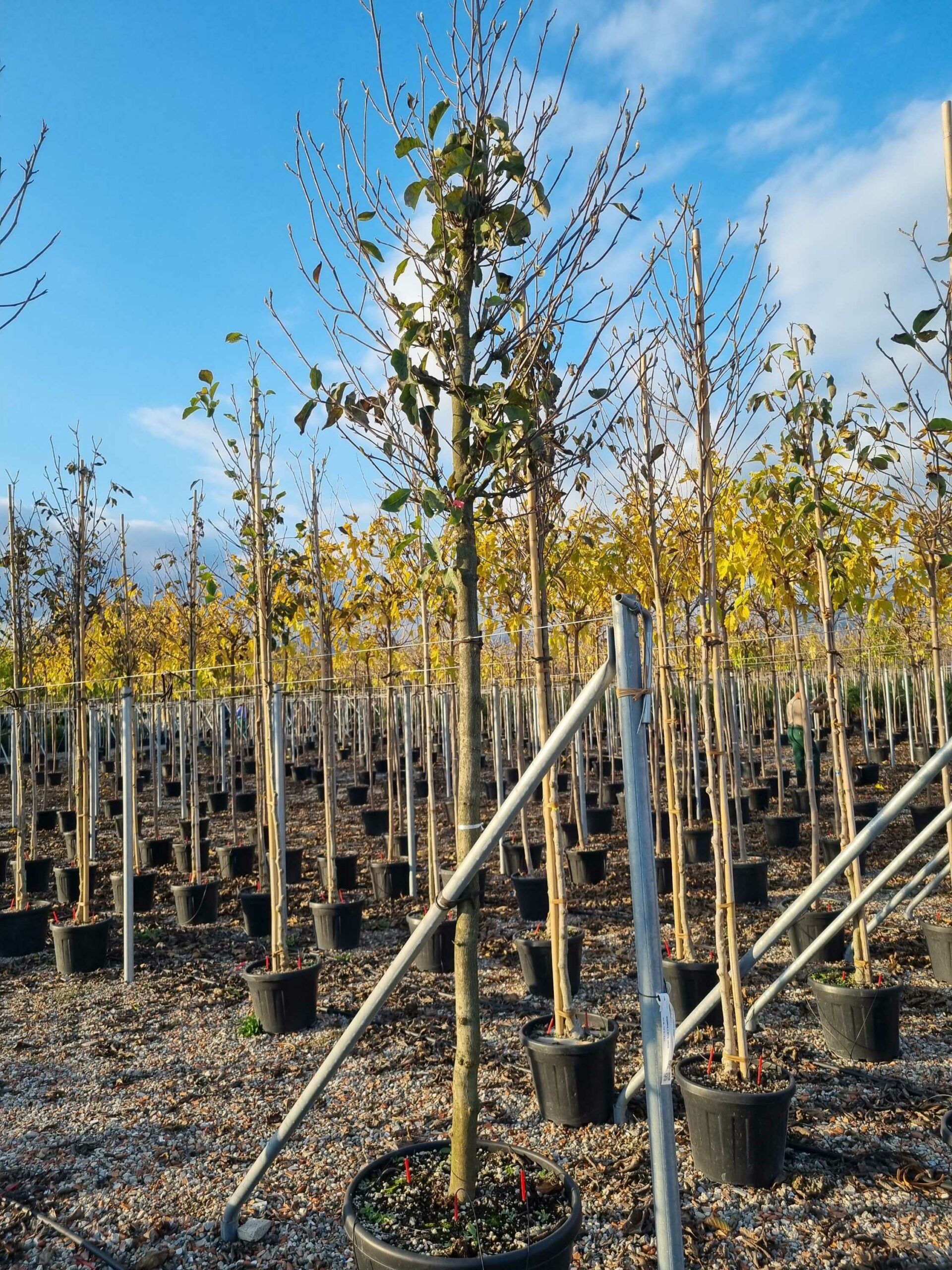 1668436277 scaled 8deb7bd2