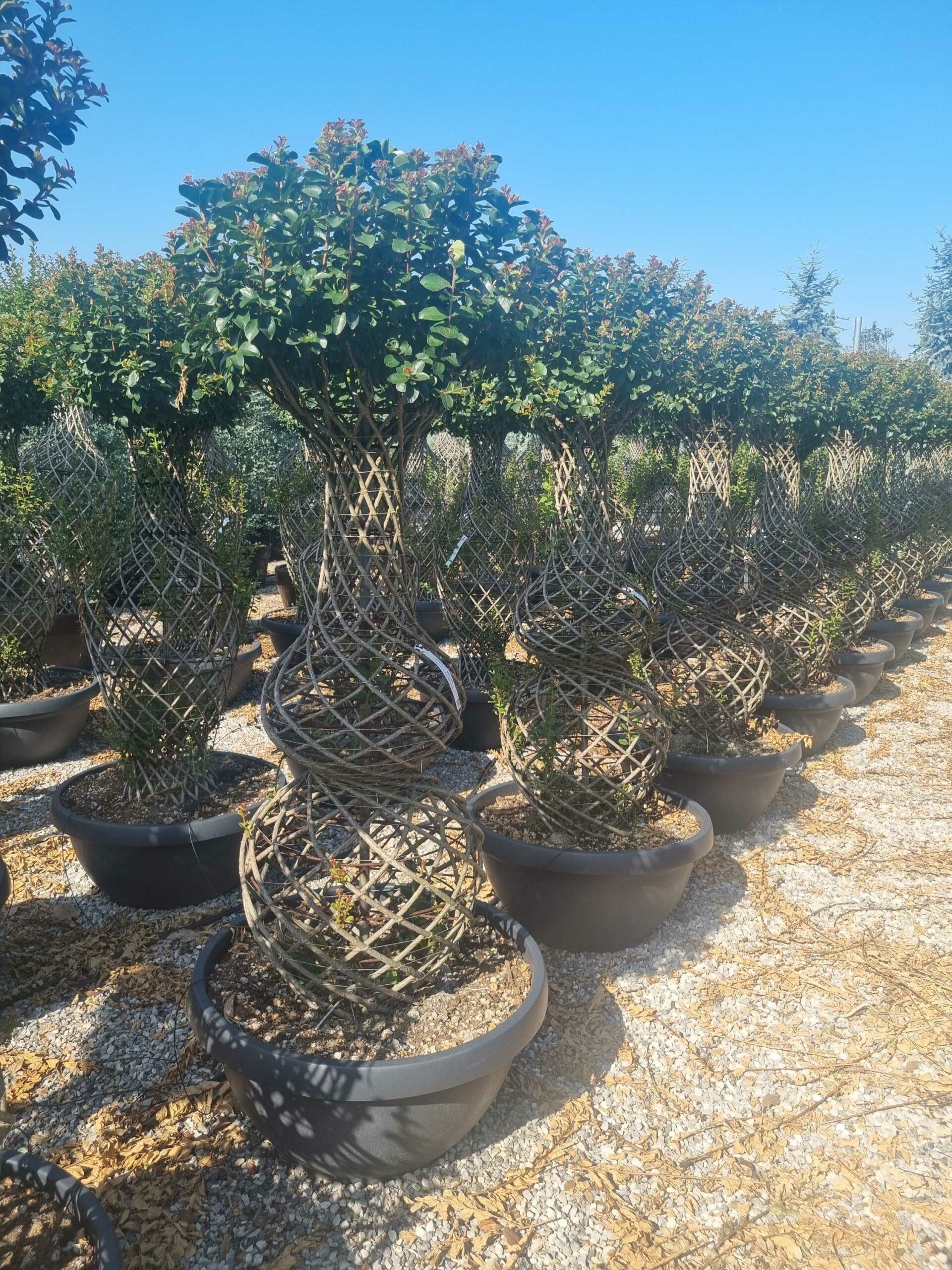 1689060763 scaled 8d48f160