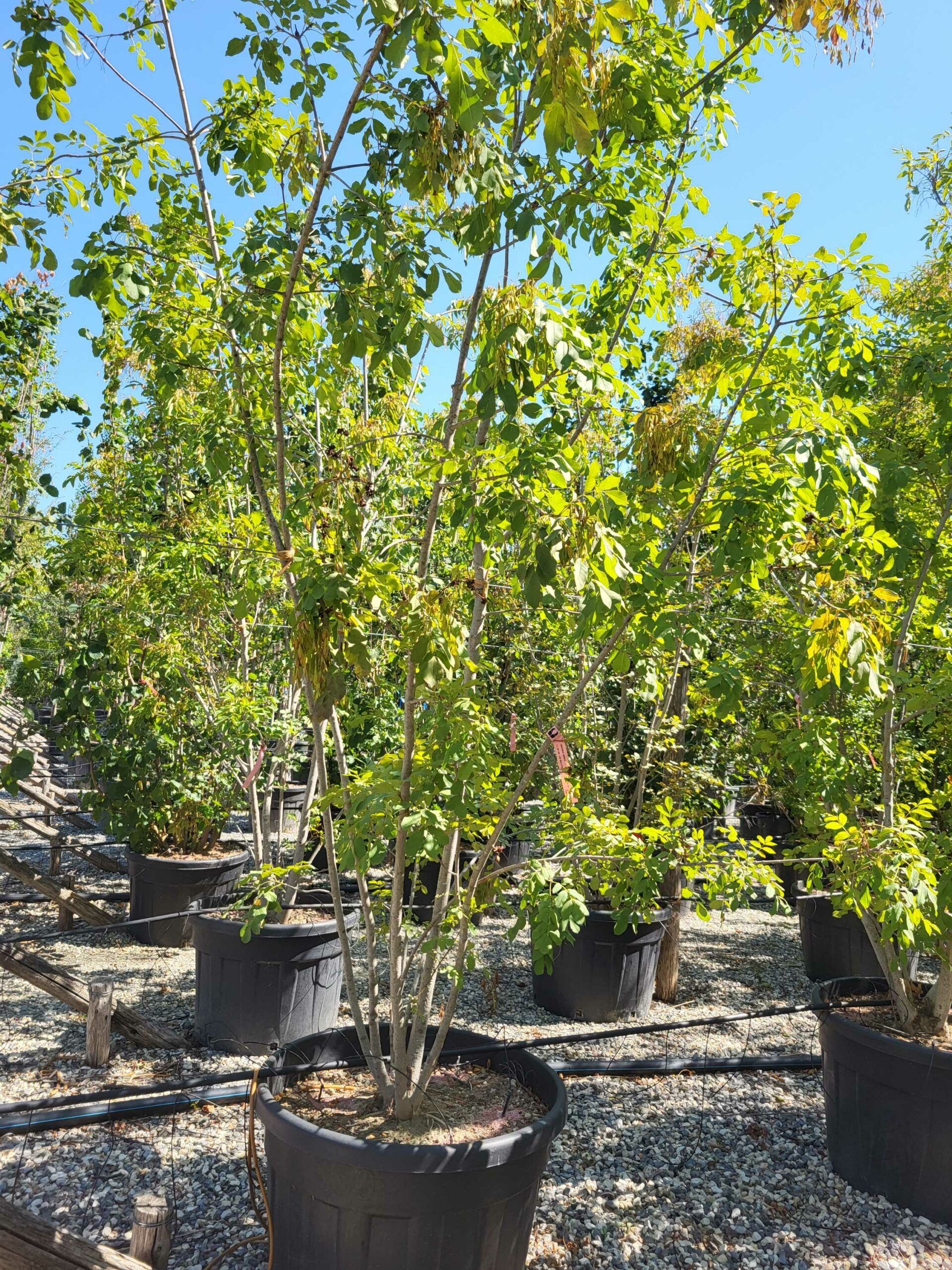 1692796216 scaled 8db10322