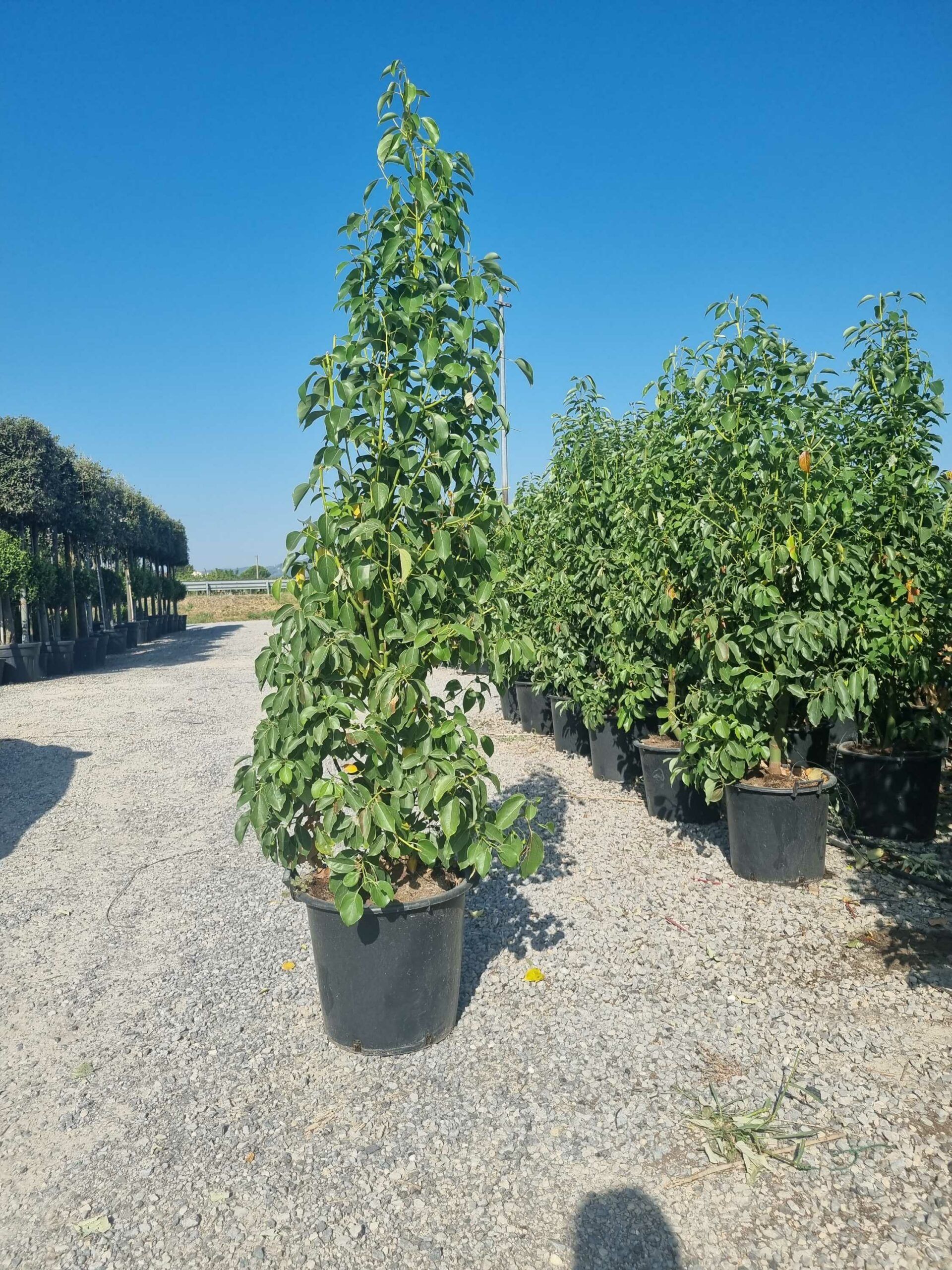 1692949937 scaled 8ddcae69