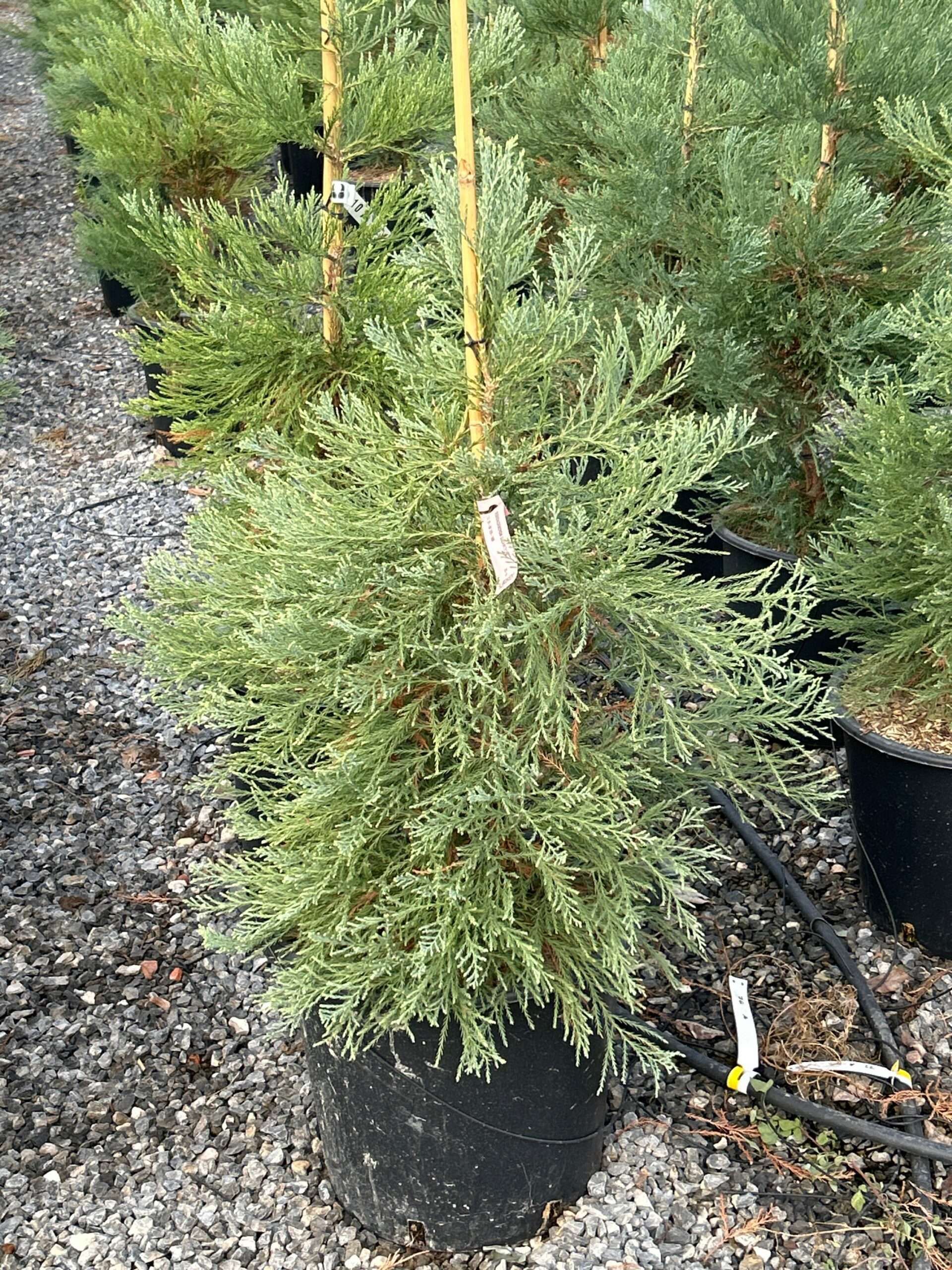 1697287878 scaled 8d93d4c2