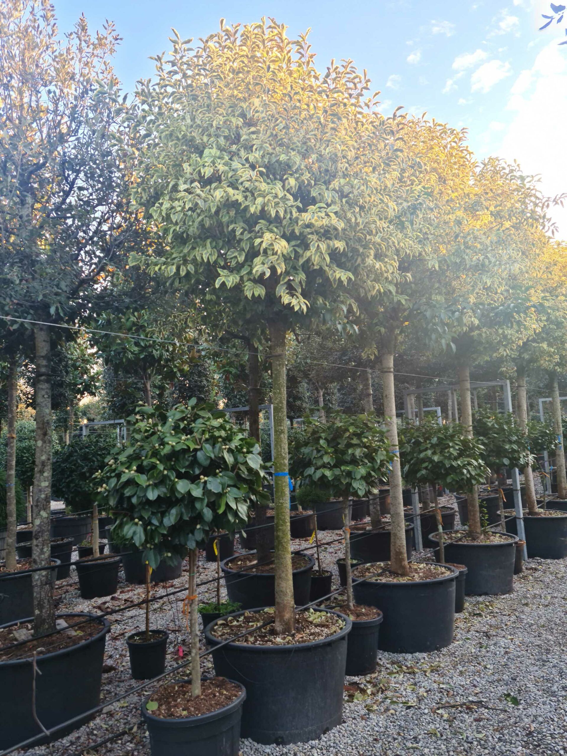 1639407077 scaled 8e8578a9